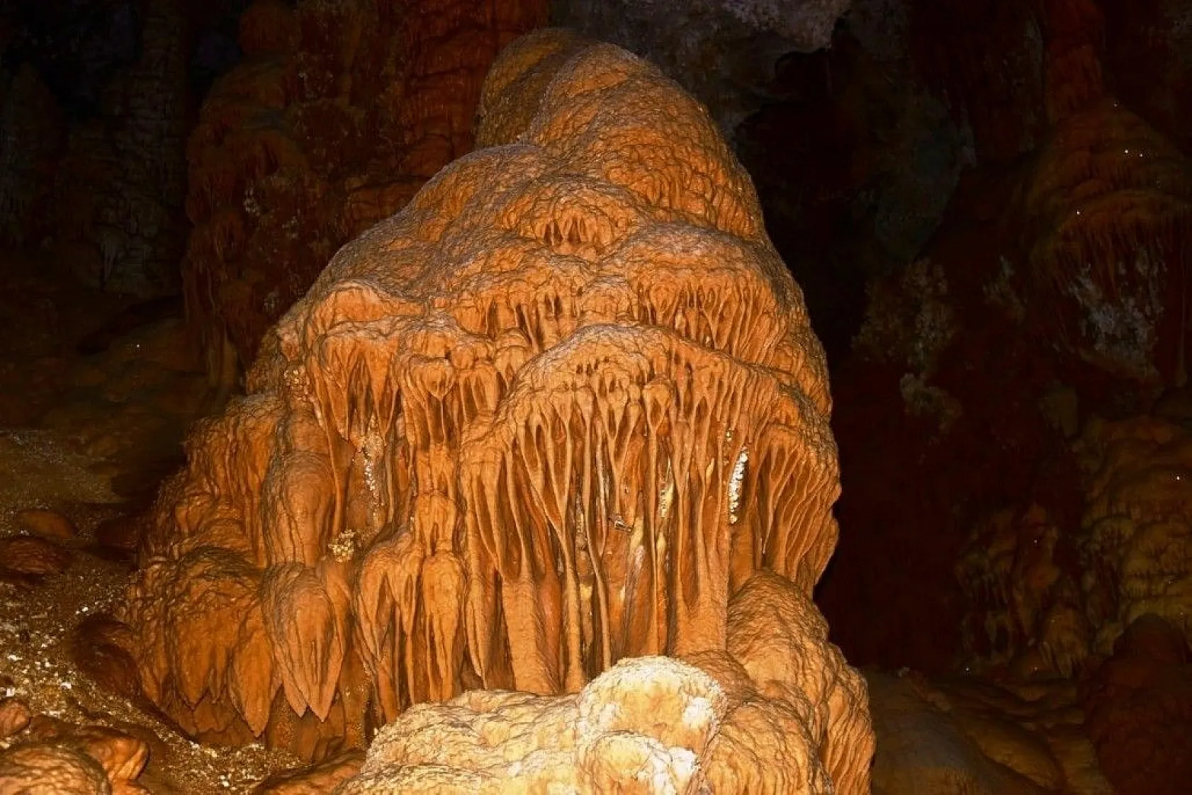Doğal güzelliğiyle dikkat çekti... İsmi belli oldu!