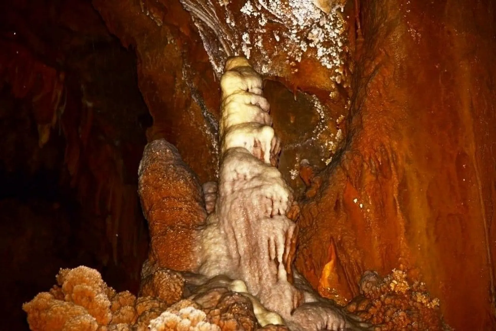 Doğal güzelliğiyle dikkat çekti... İsmi belli oldu!