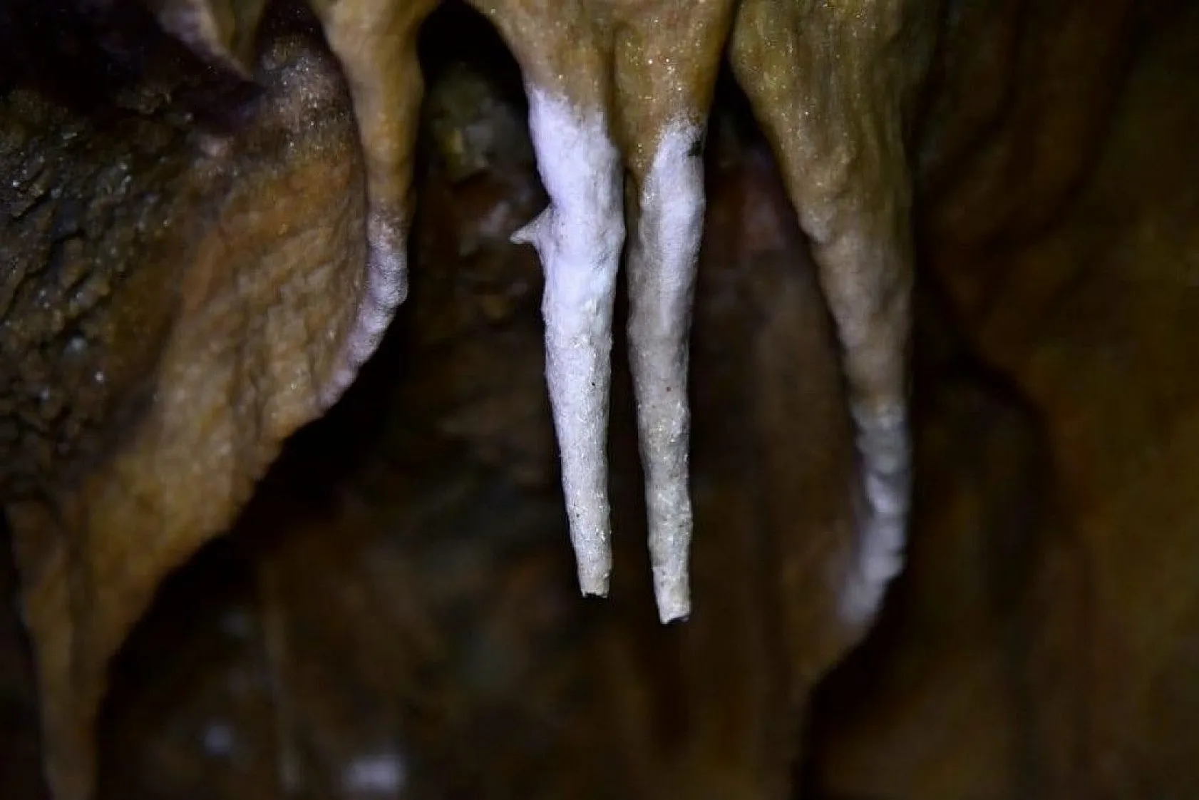 Doğal güzelliğiyle dikkat çekti... İsmi belli oldu!