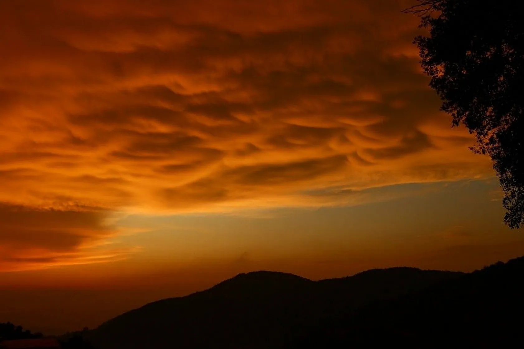 Türkiye'de ender görülen memeli bulutlar Hatay'da görüntülendi