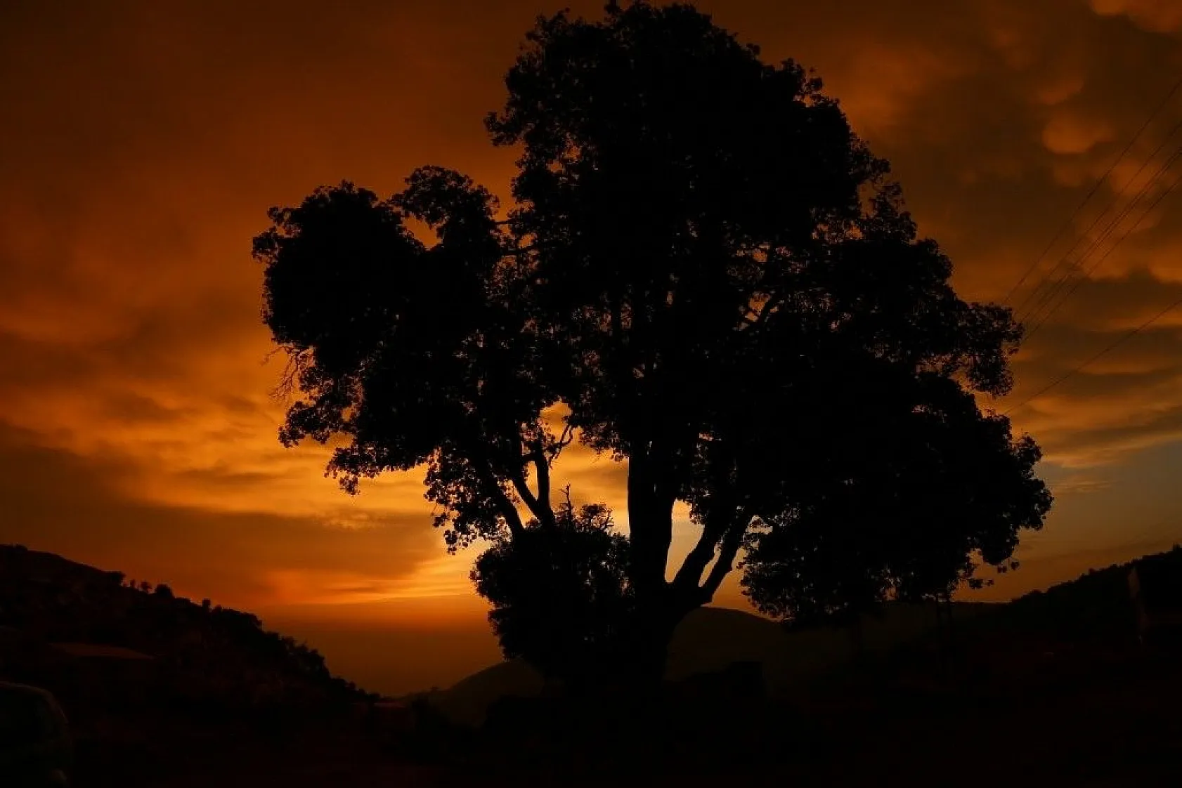 Türkiye'de ender görülen memeli bulutlar Hatay'da görüntülendi