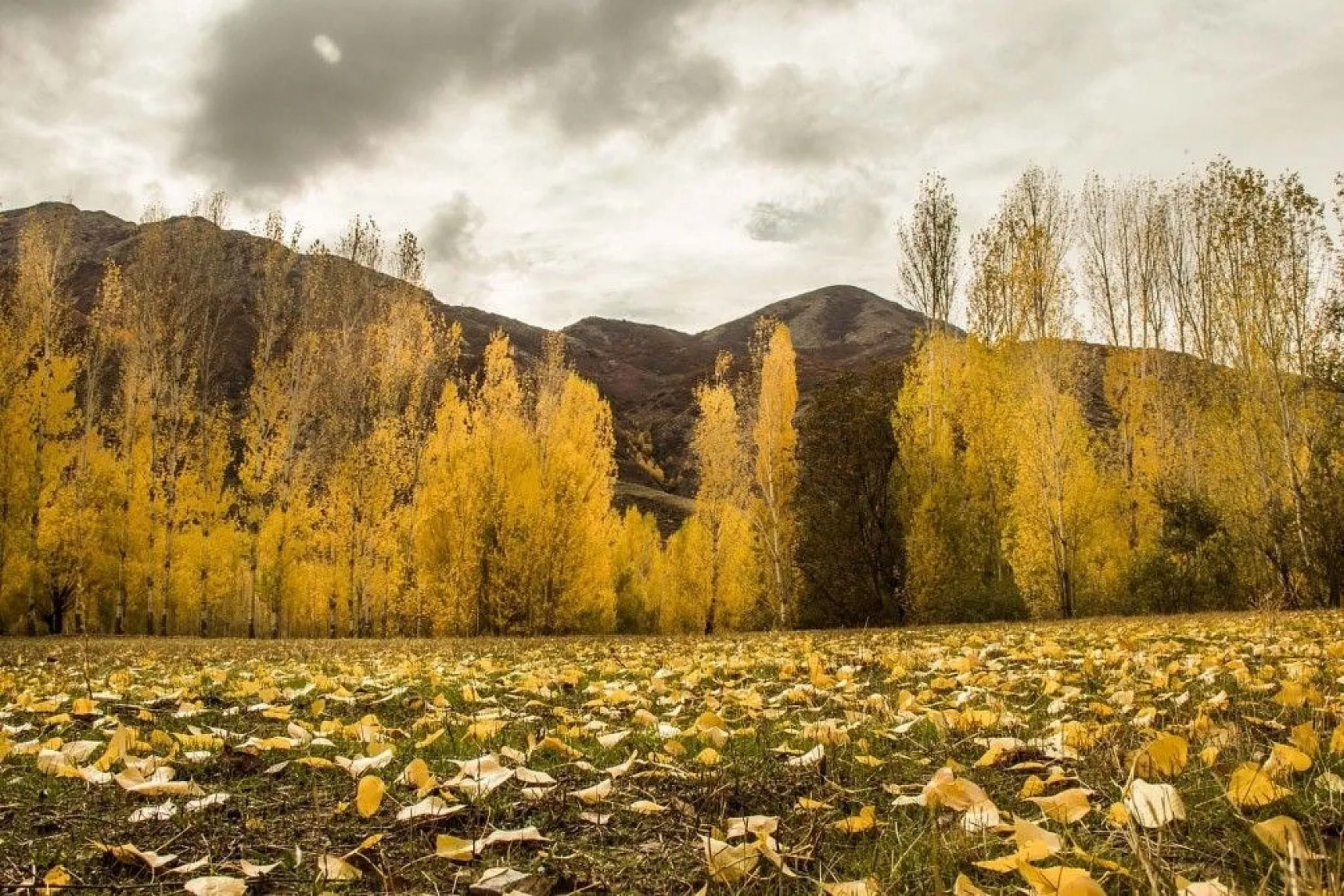 Bitlis'ten sonbahar güzelliği