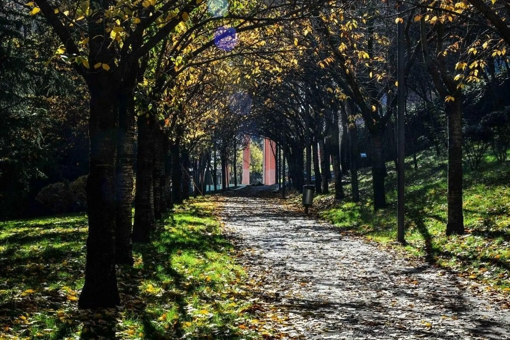 Başkent'in rengi sonbahar