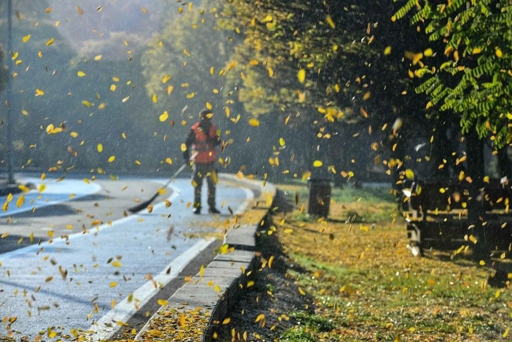 Başkent'in rengi sonbahar