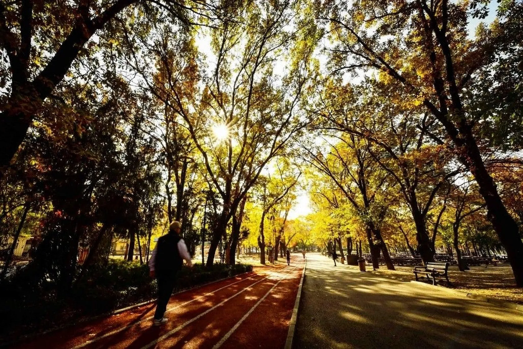 Başkent'in rengi sonbahar