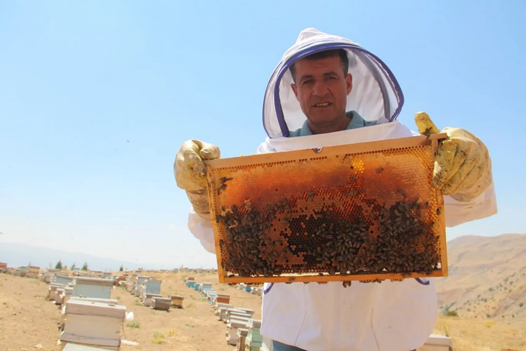 Arıcılar bu yıl da umduğunu bulamadı