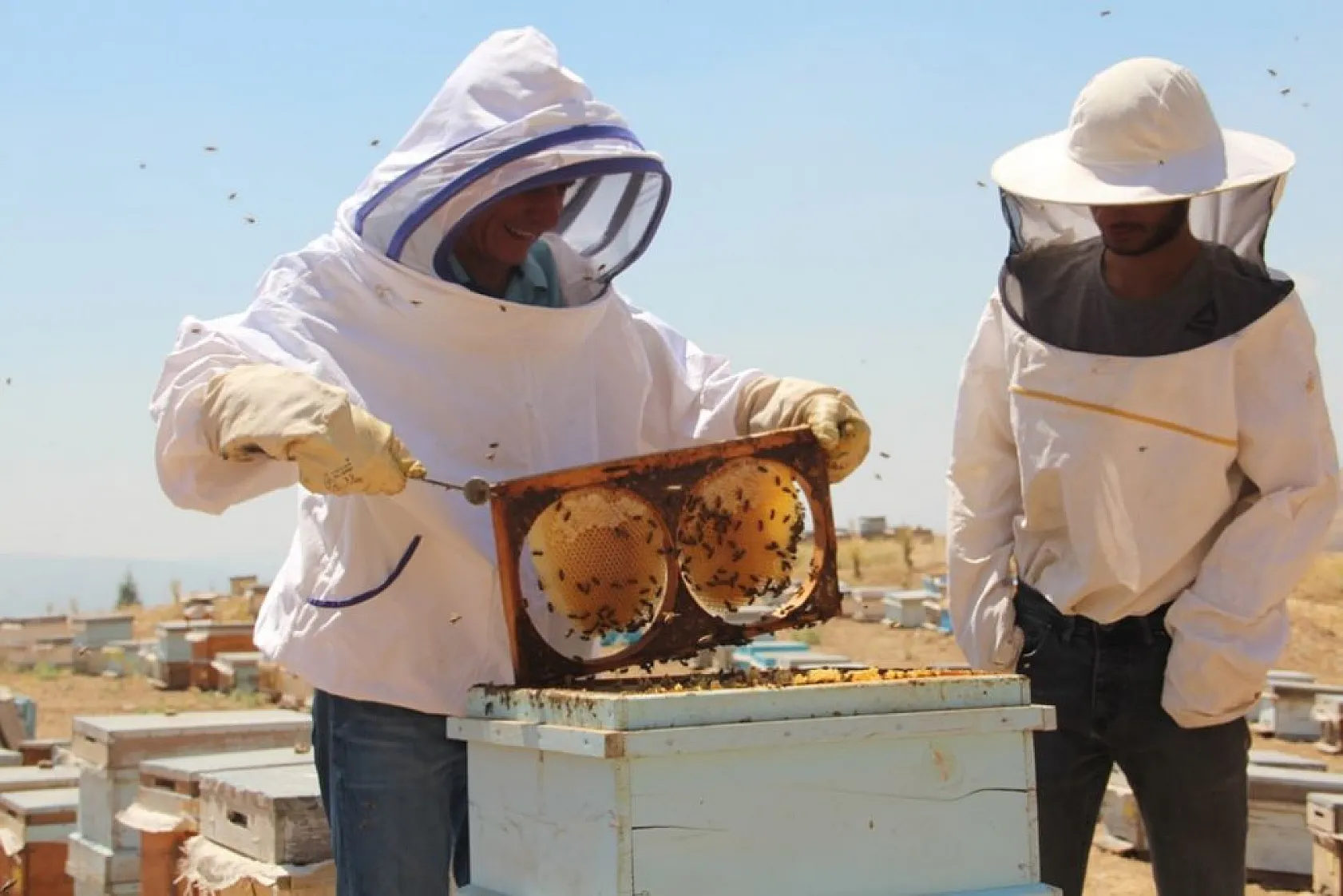 Arıcılar bu yıl da umduğunu bulamadı
