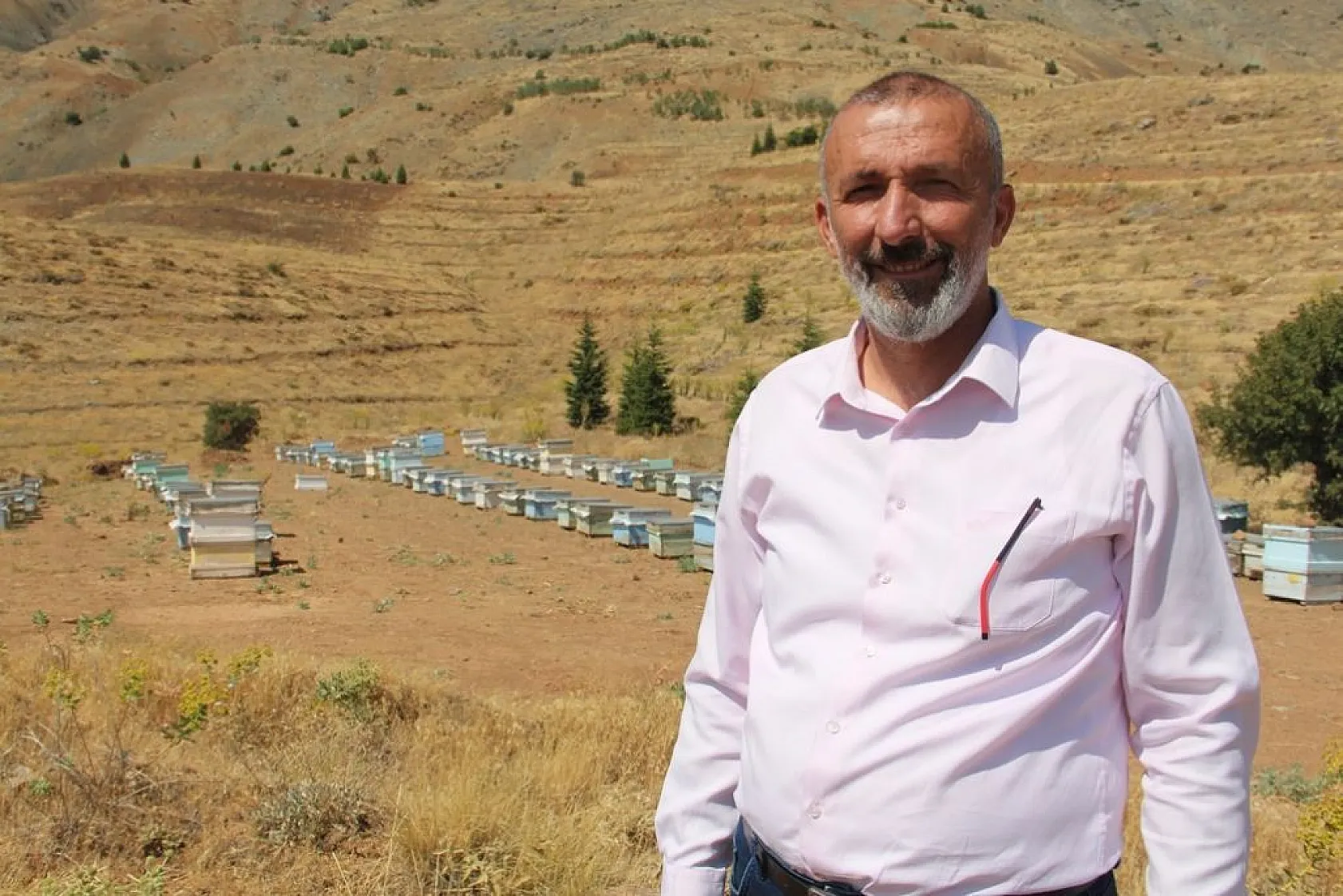 Arıcılar bu yıl da umduğunu bulamadı