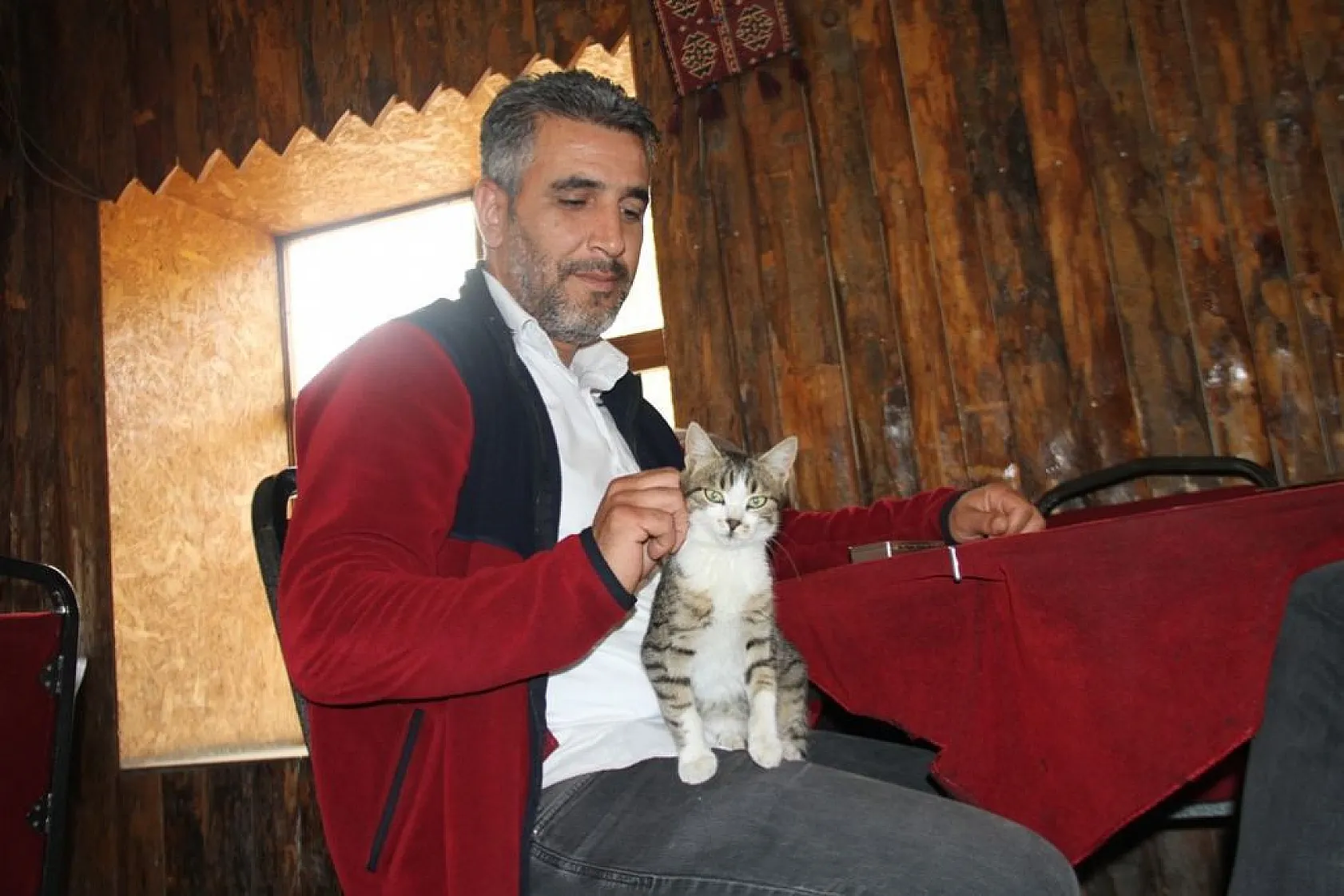 Kedi kahvehanenin maskotu oldu