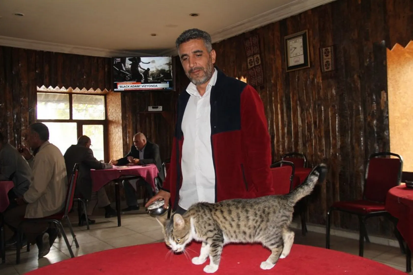 Kedi kahvehanenin maskotu oldu