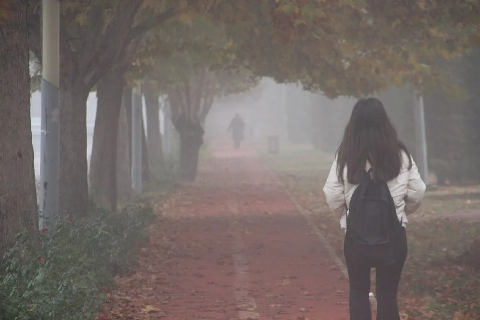 Elazığ'da sis etkili oldu