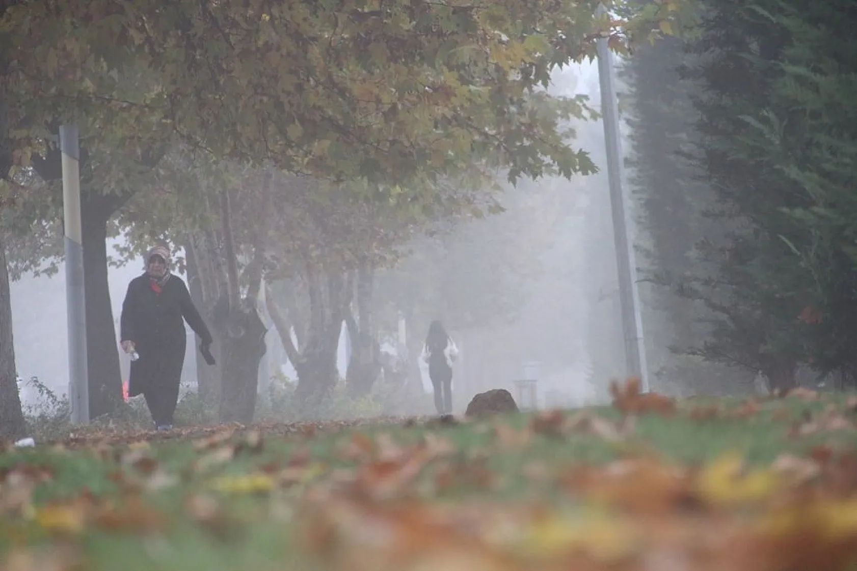 Elazığ'da sis etkili oldu