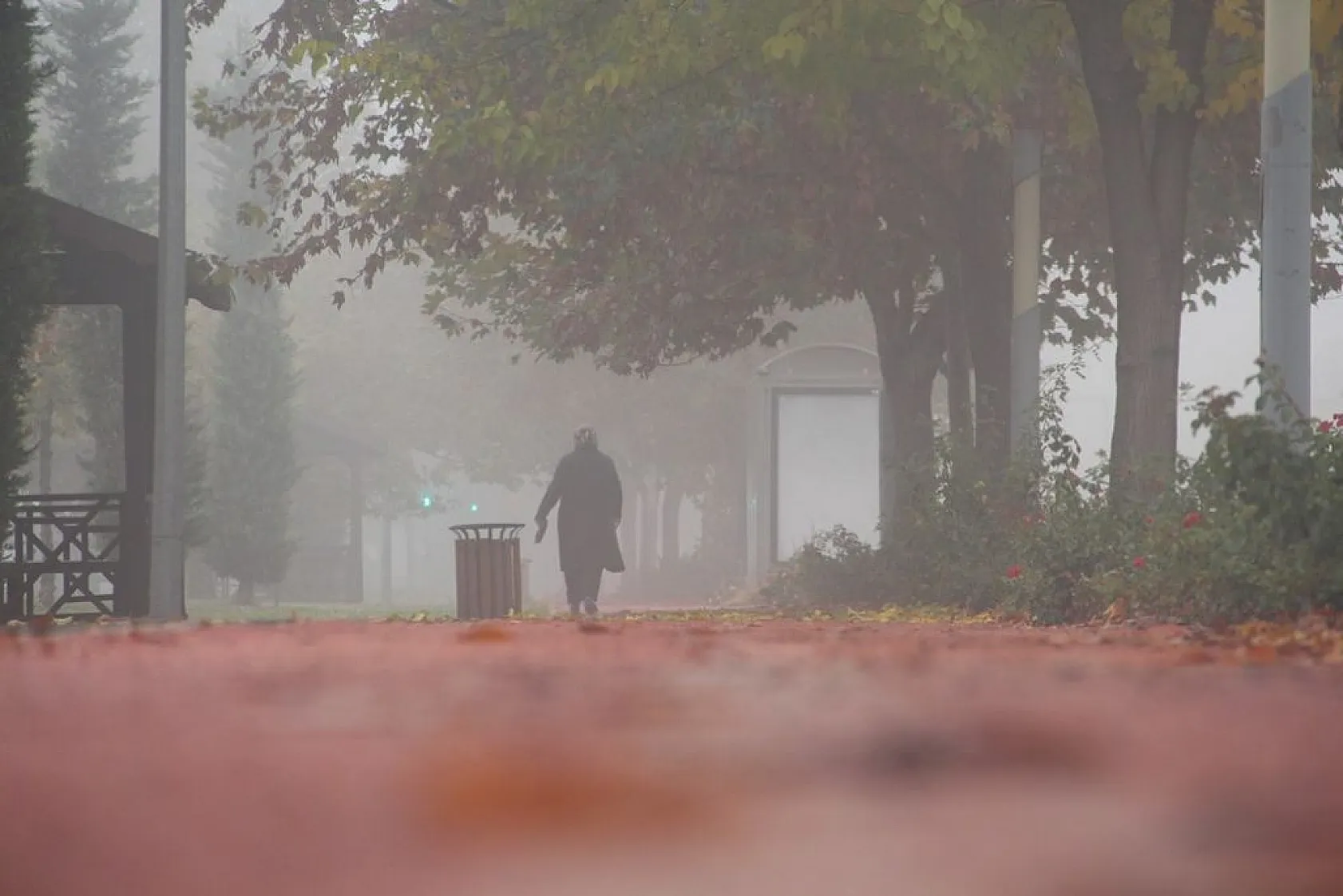 Elazığ'da sis etkili oldu