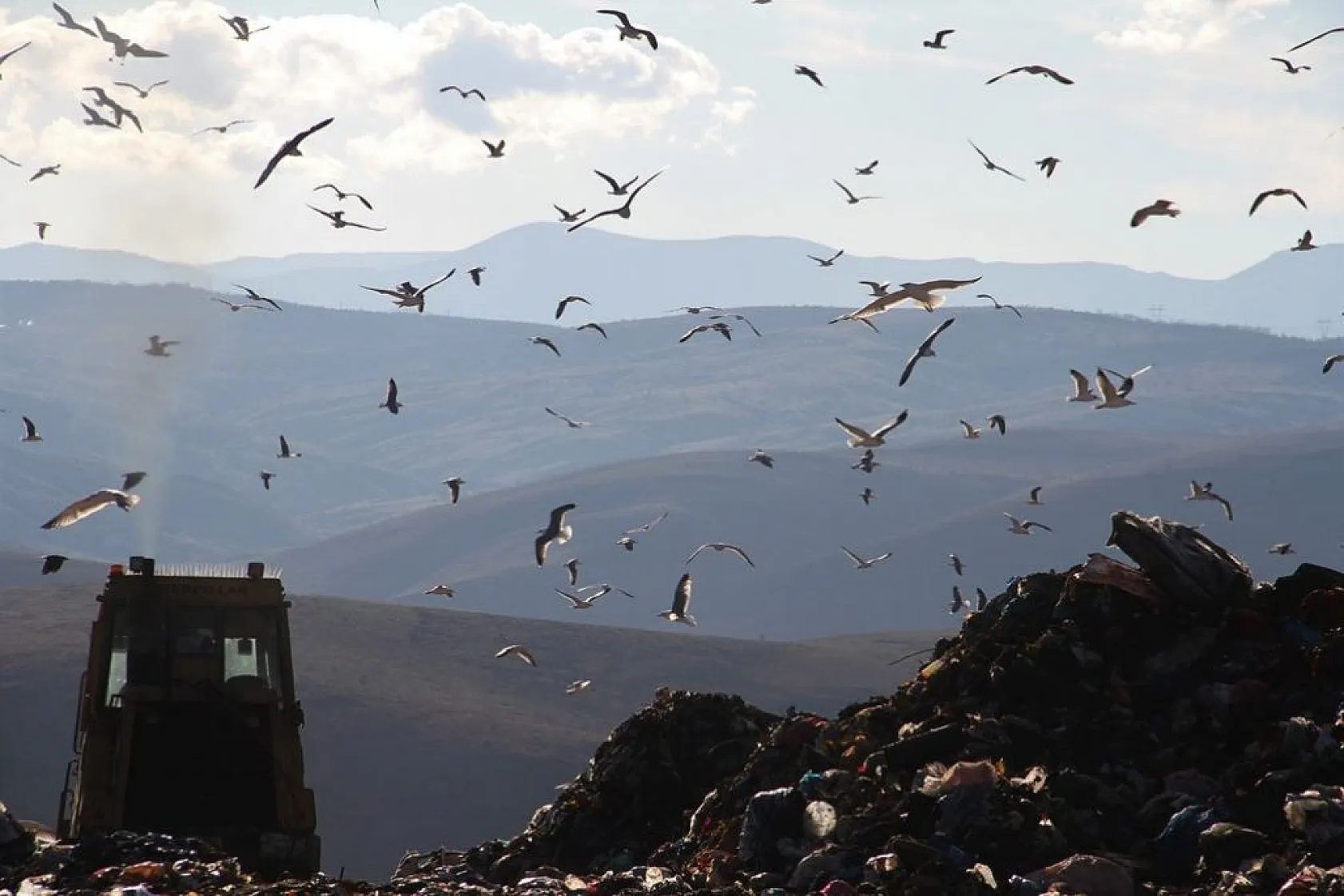 Elazığ Belediyesi 11 bin hanenin elektriğini çöpten üretti