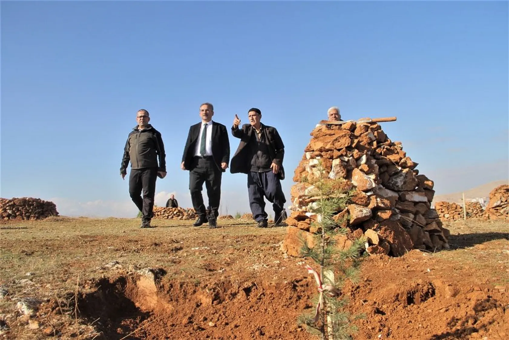 Evinin önündeki taşlık araziyi ormanlık araziye çevirdi