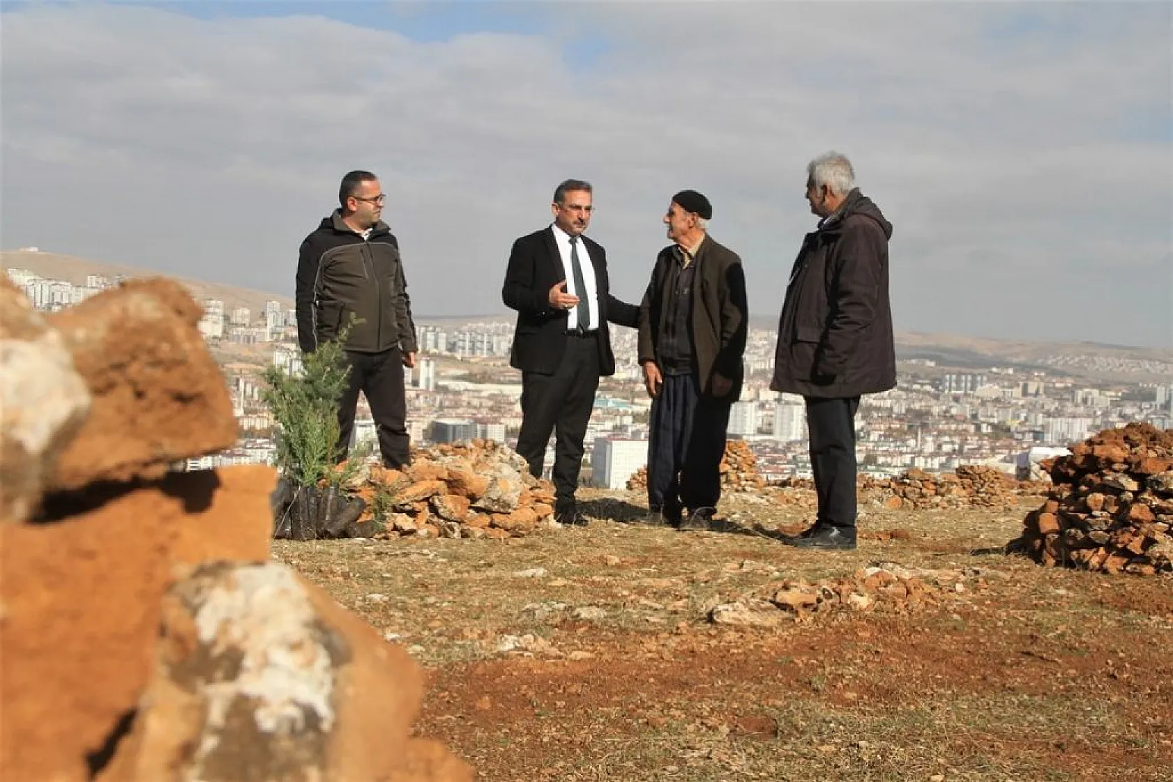 Evinin önündeki taşlık araziyi ormanlık araziye çevirdi