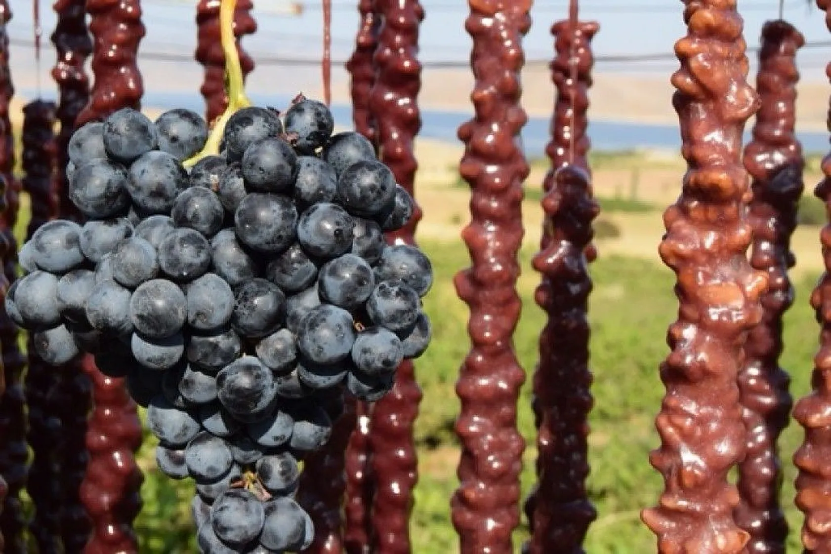 Tarih, kültür ve lezzetin buluştuğu şehir Elazığ