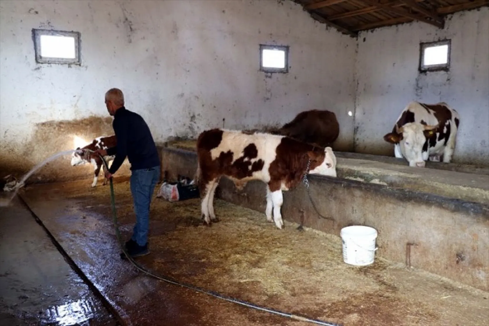 Devlet desteğiyle eski hükümlü besiciliğe döndü