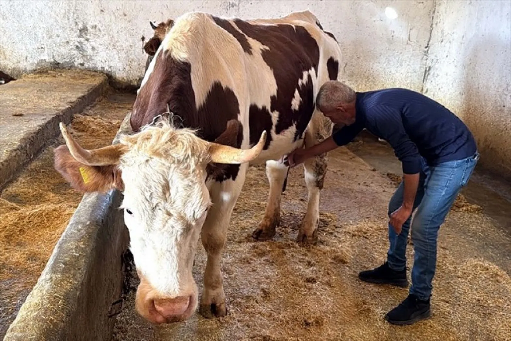 Devlet desteğiyle eski hükümlü besiciliğe döndü