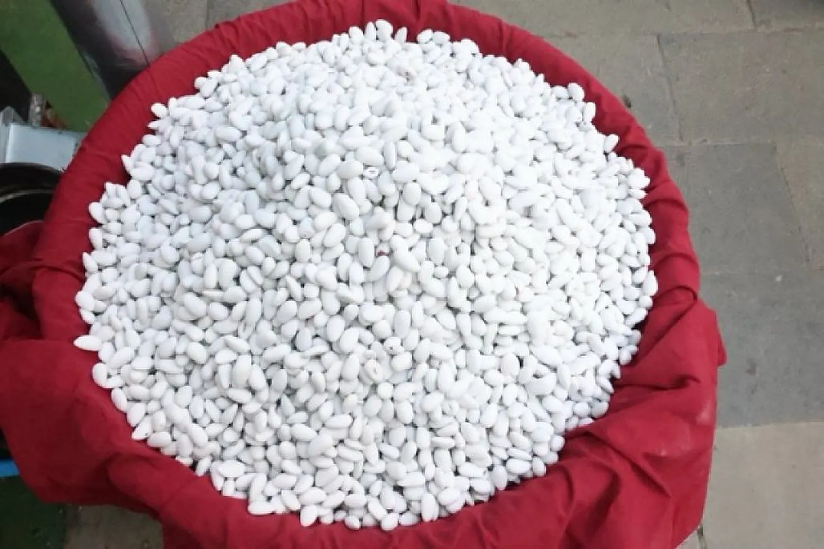 Bademin badem şekerine yolculuğu başladı