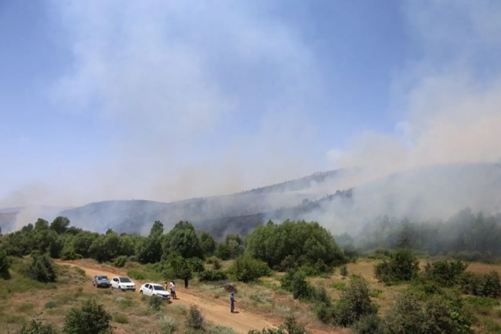 Elazığ'da orman yangını