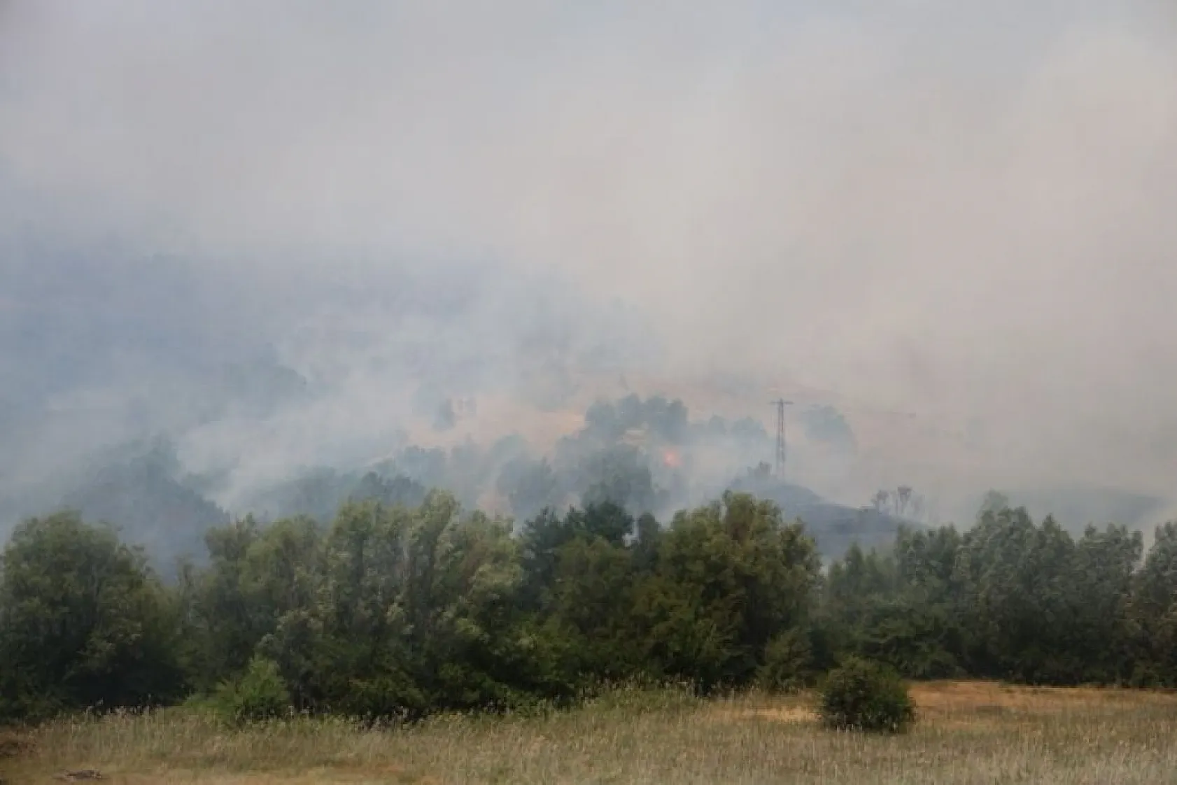 Elazığ'da orman yangını