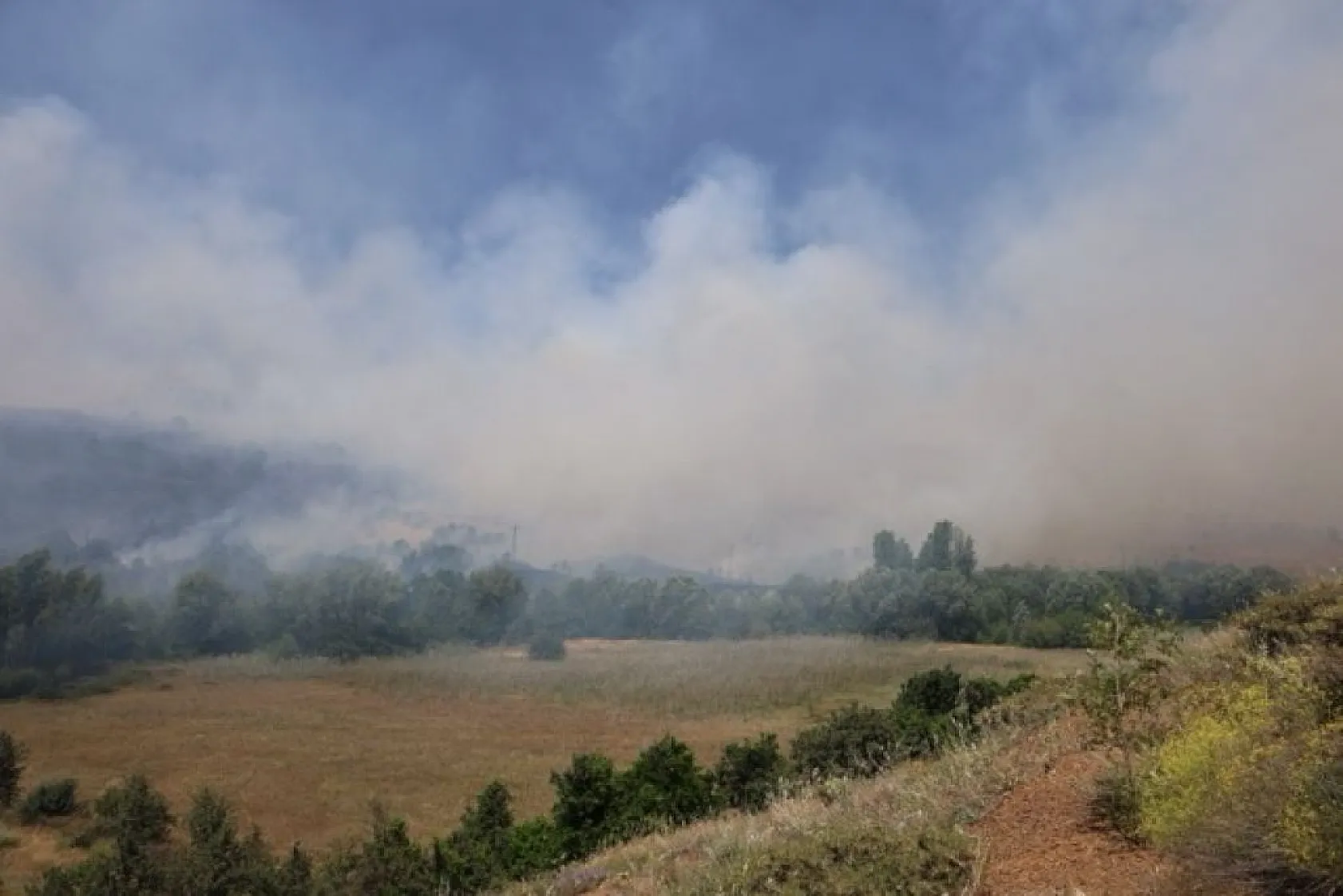 Elazığ'da orman yangını