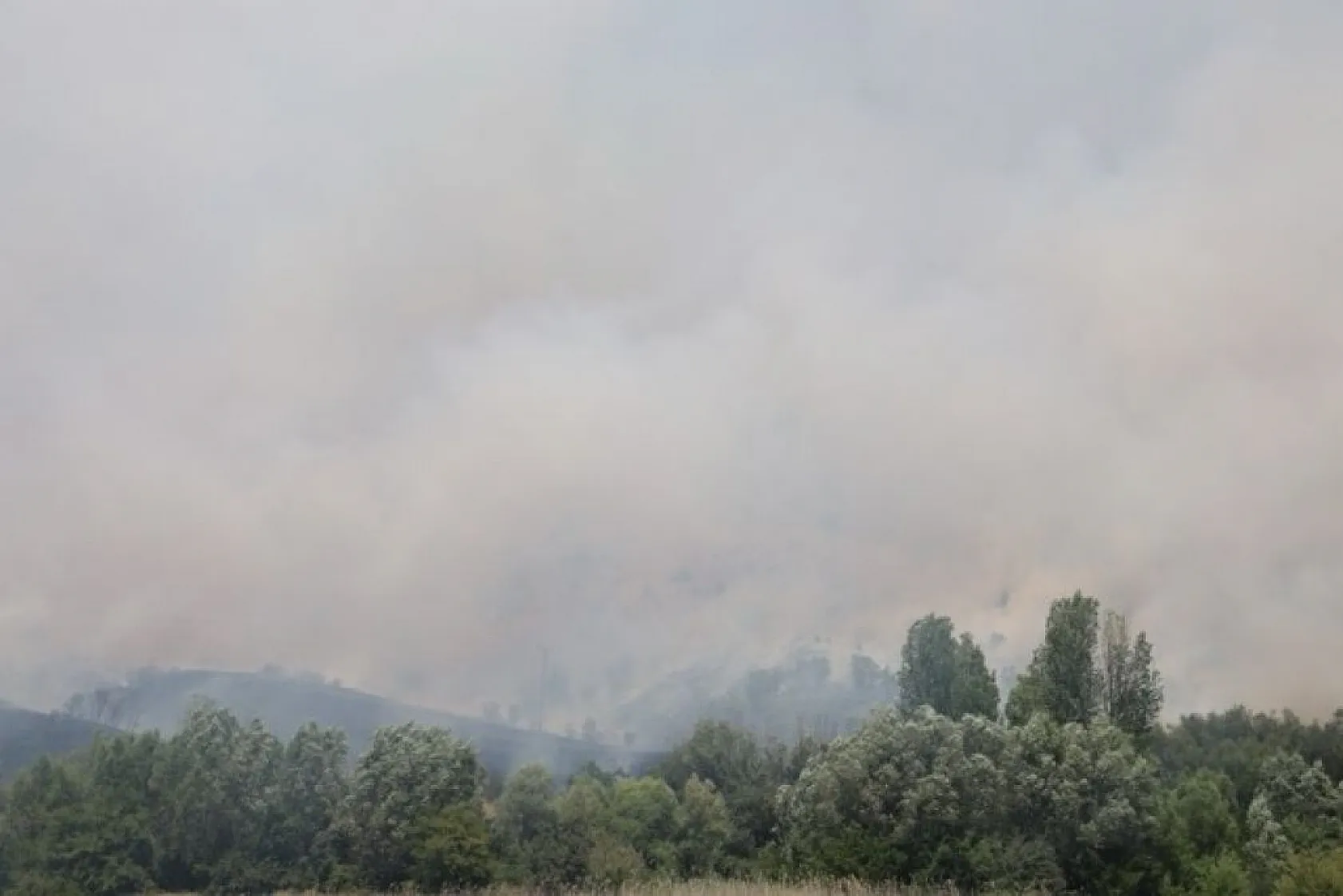 Elazığ'da orman yangını