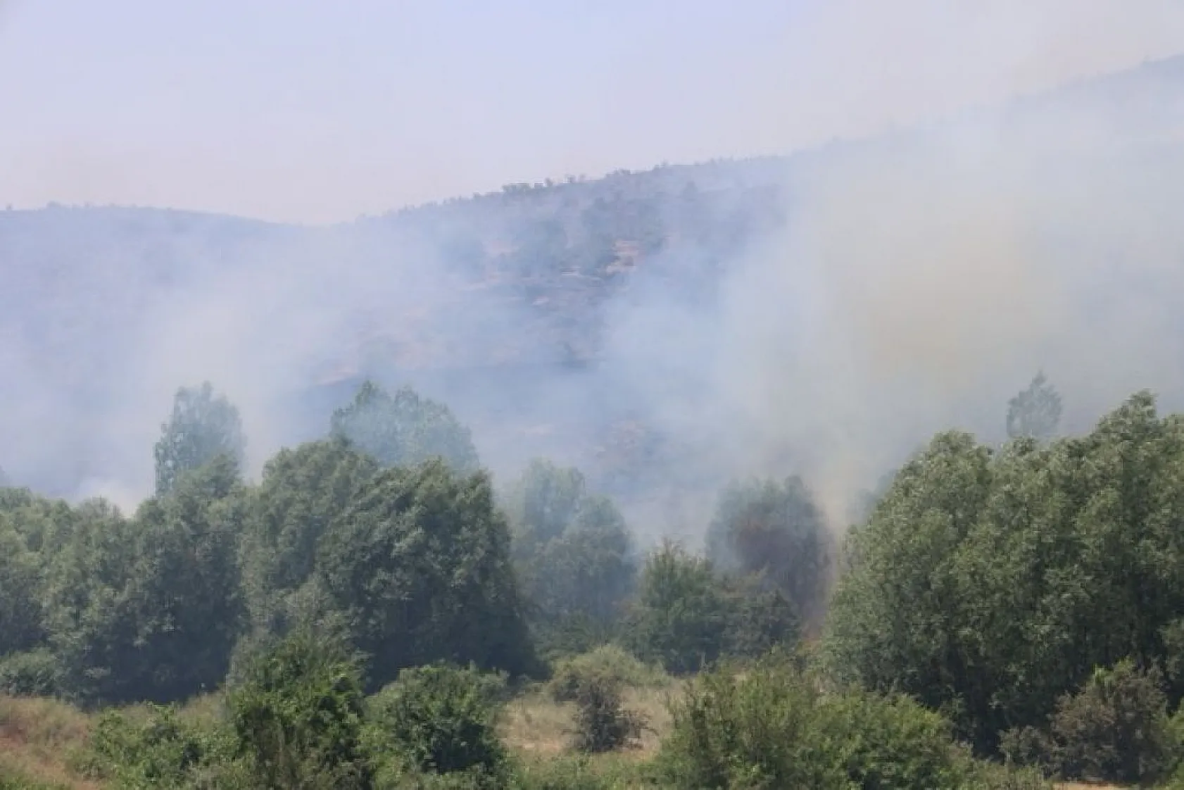 Elazığ'da orman yangını