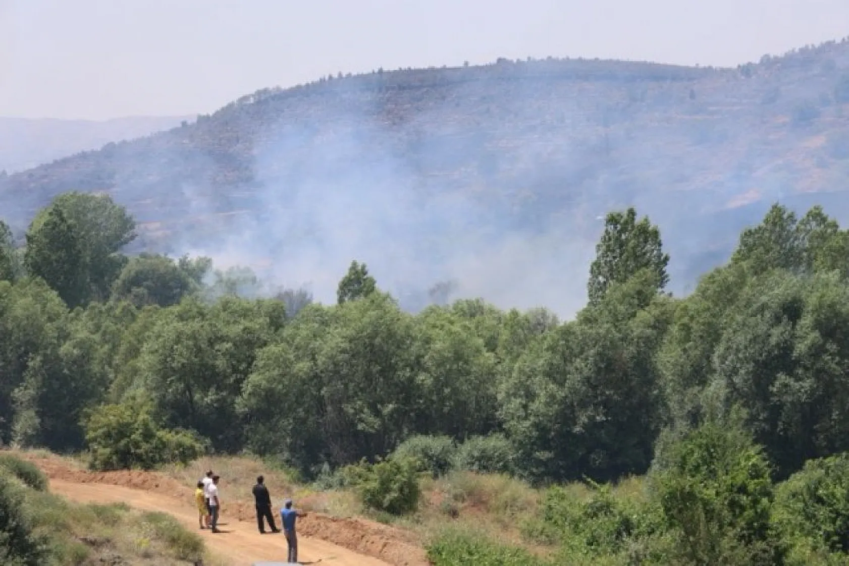 Elazığ'da orman yangını