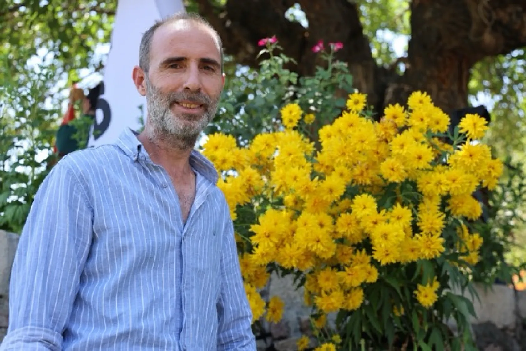 Elazığ'daki 500 yıllık dev dut ağacı köyün simgesi oldu