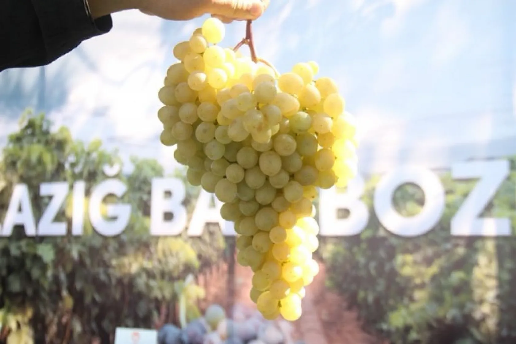 Tarih, kültür ve lezzetin buluştuğu şehir Elazığ