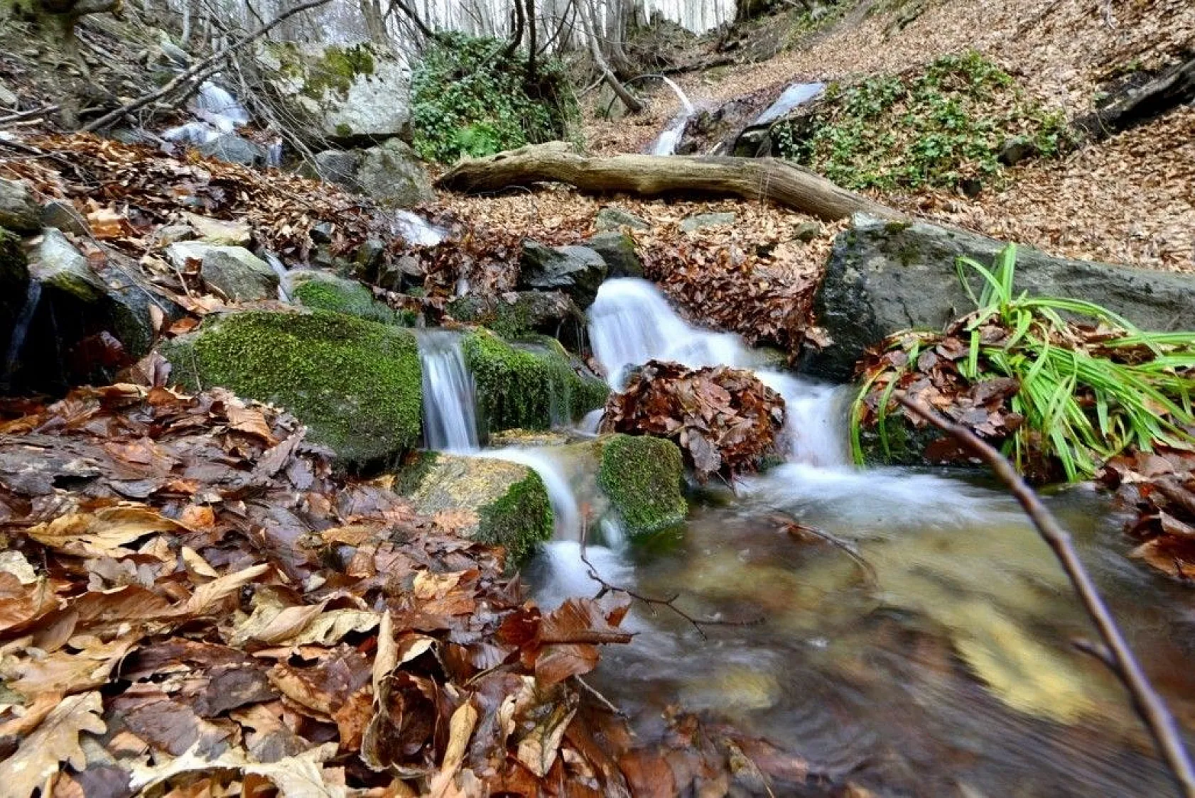 Uludağ'ın eteklerindeki Zeyniler'de sonbahar
