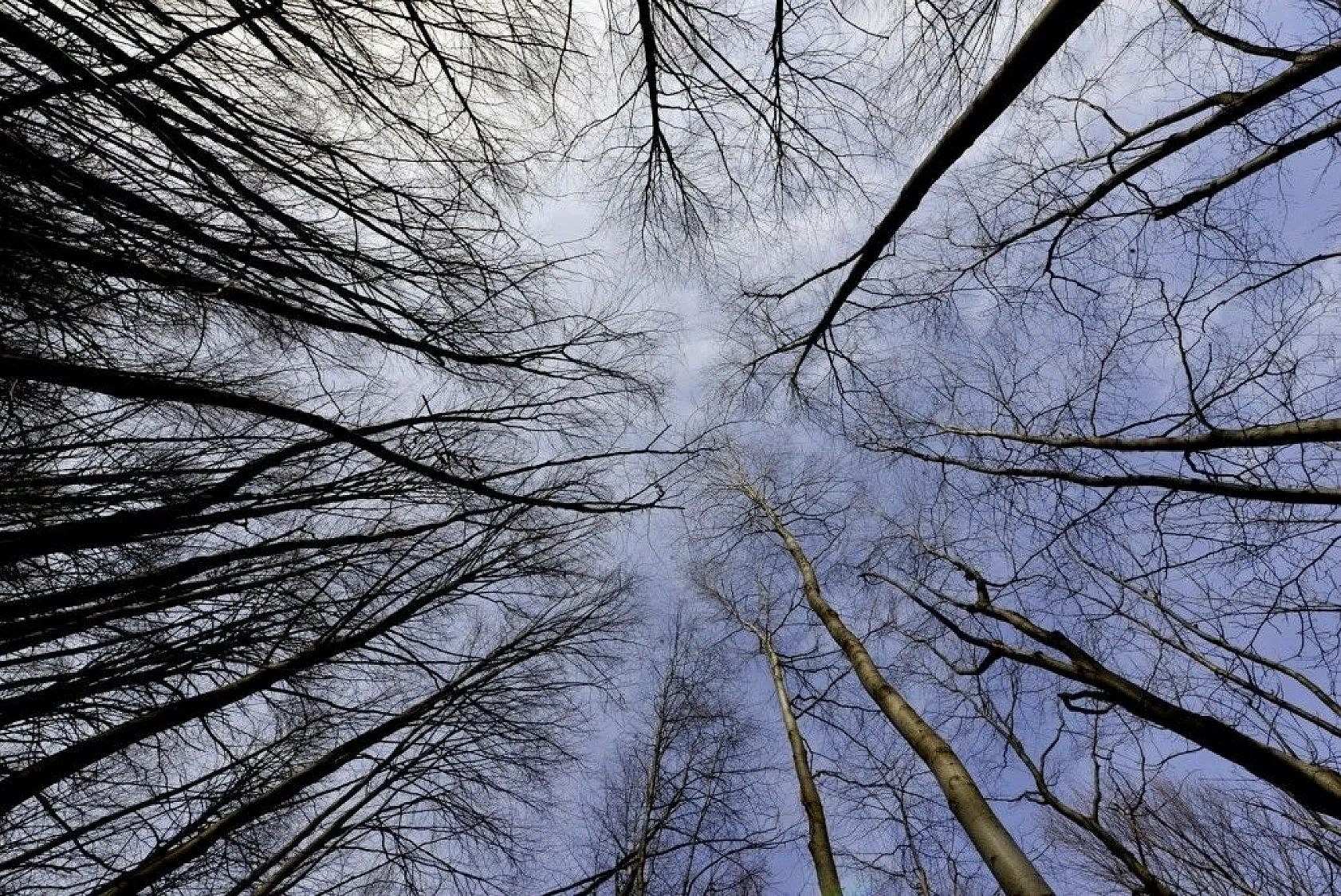 Uludağ'ın eteklerindeki Zeyniler'de sonbahar