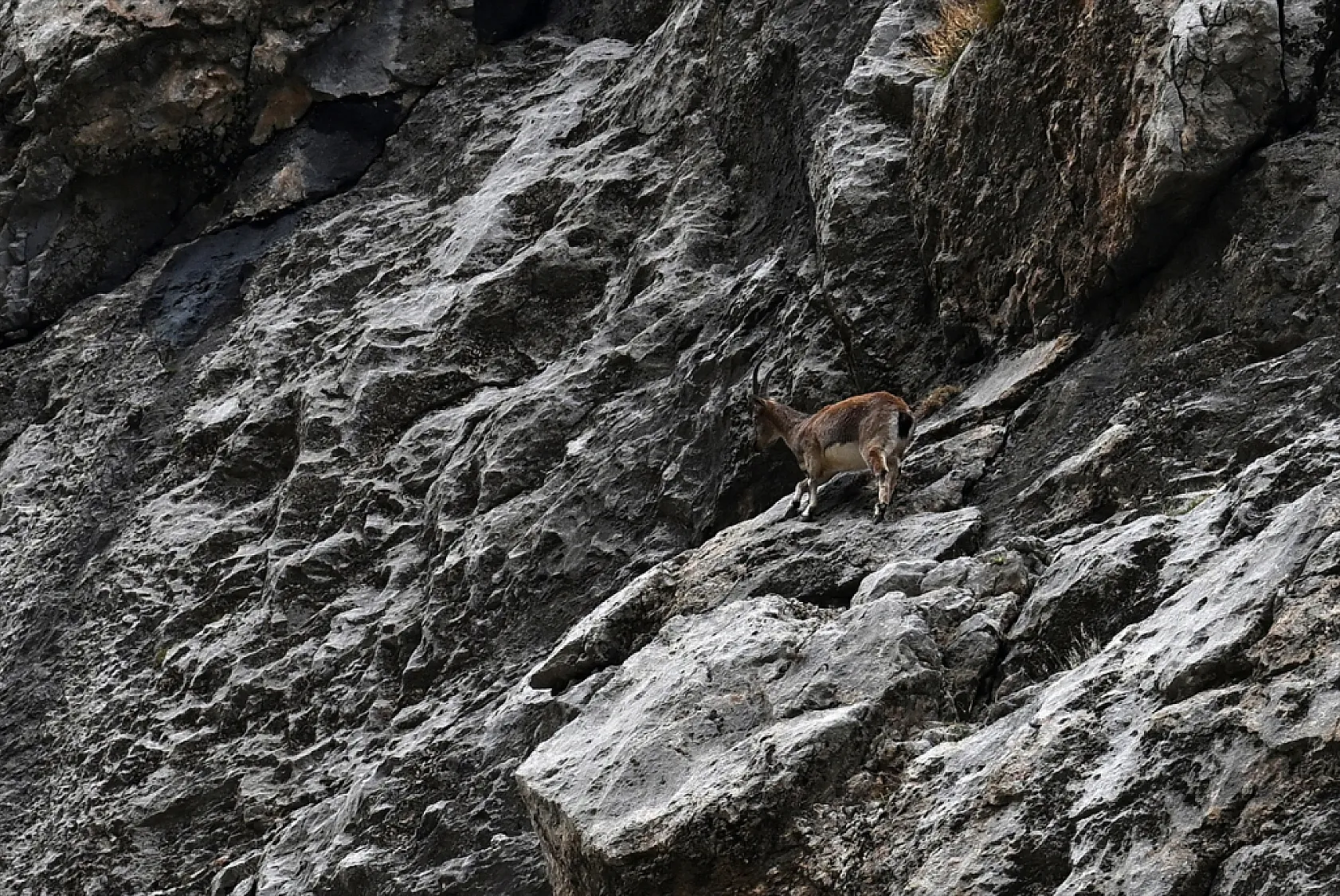Karanlık Kanyonu ziyaretçilerini büyülüyor