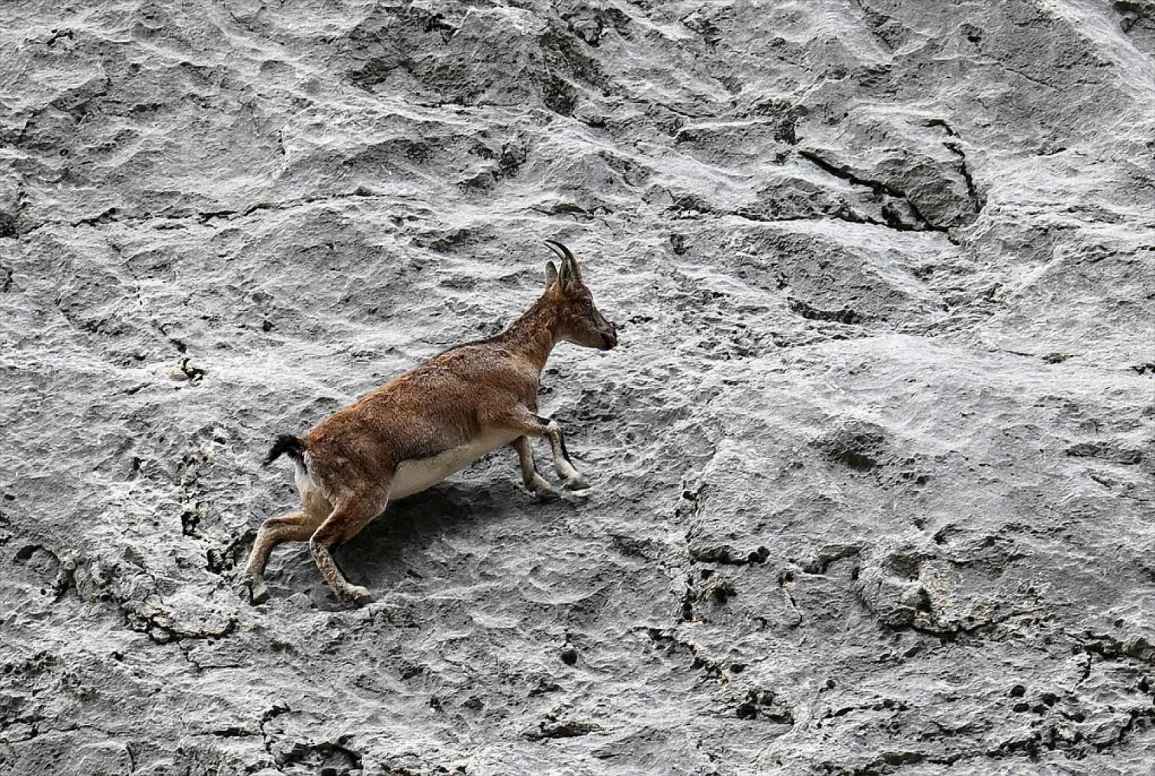 Karanlık Kanyonu ziyaretçilerini büyülüyor