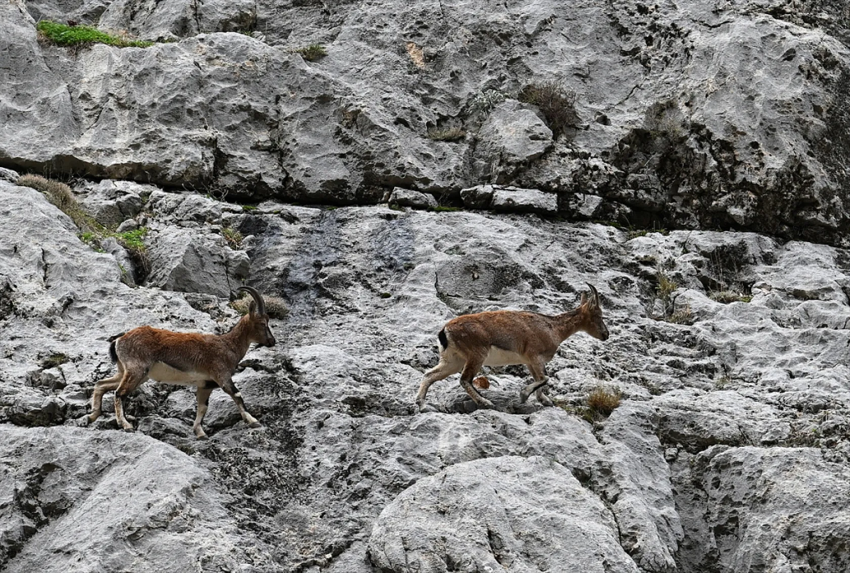Karanlık Kanyonu ziyaretçilerini büyülüyor