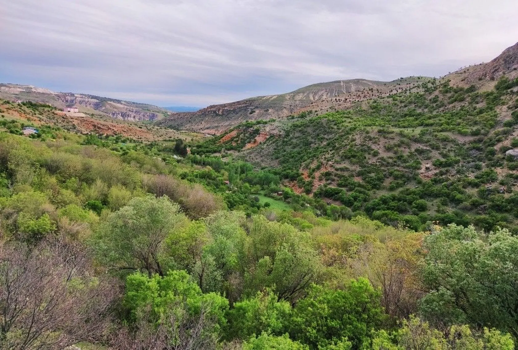 Doğal yaşamı ile dikkat çeken ilçe baharla renklendi