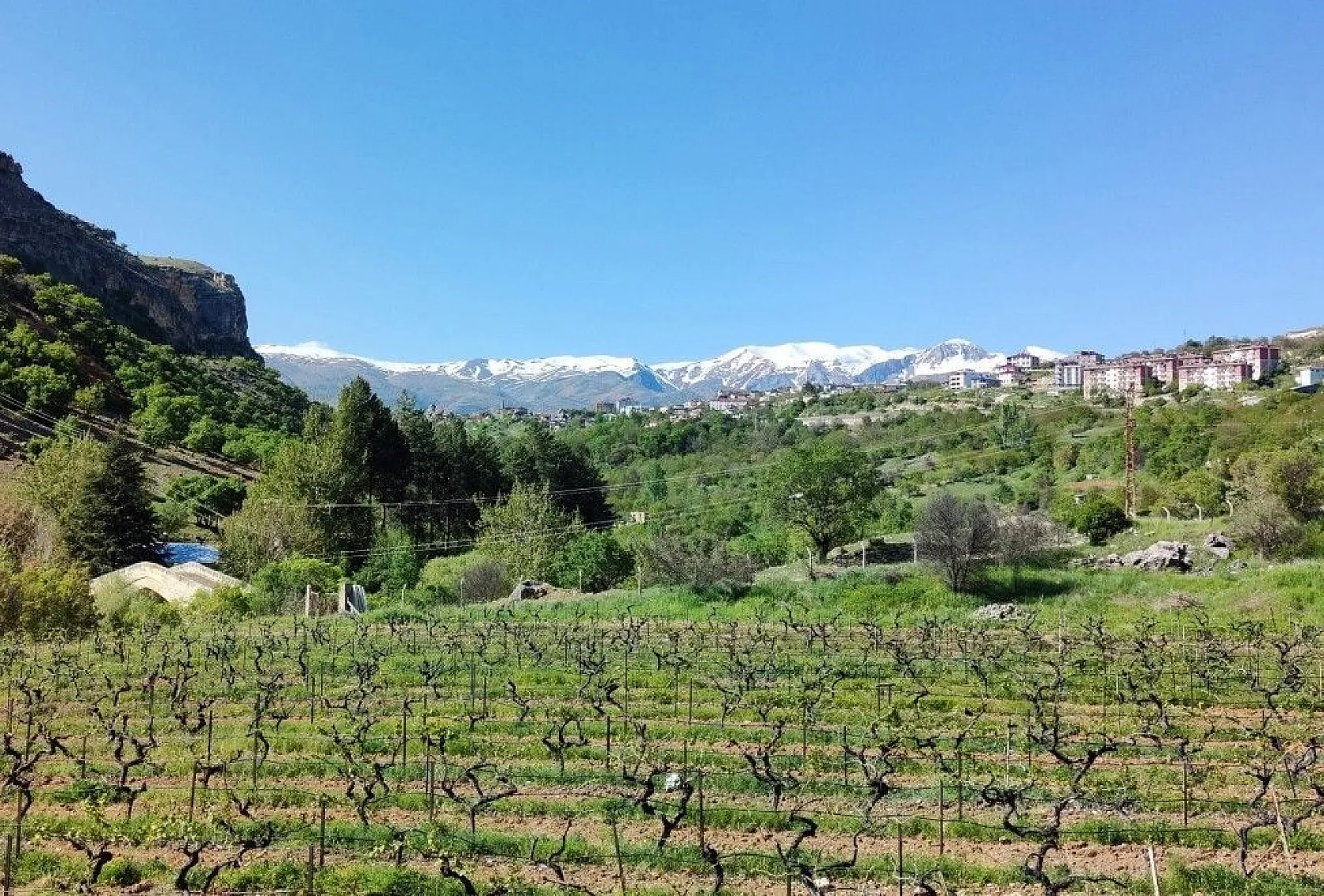 Doğal yaşamı ile dikkat çeken ilçe baharla renklendi