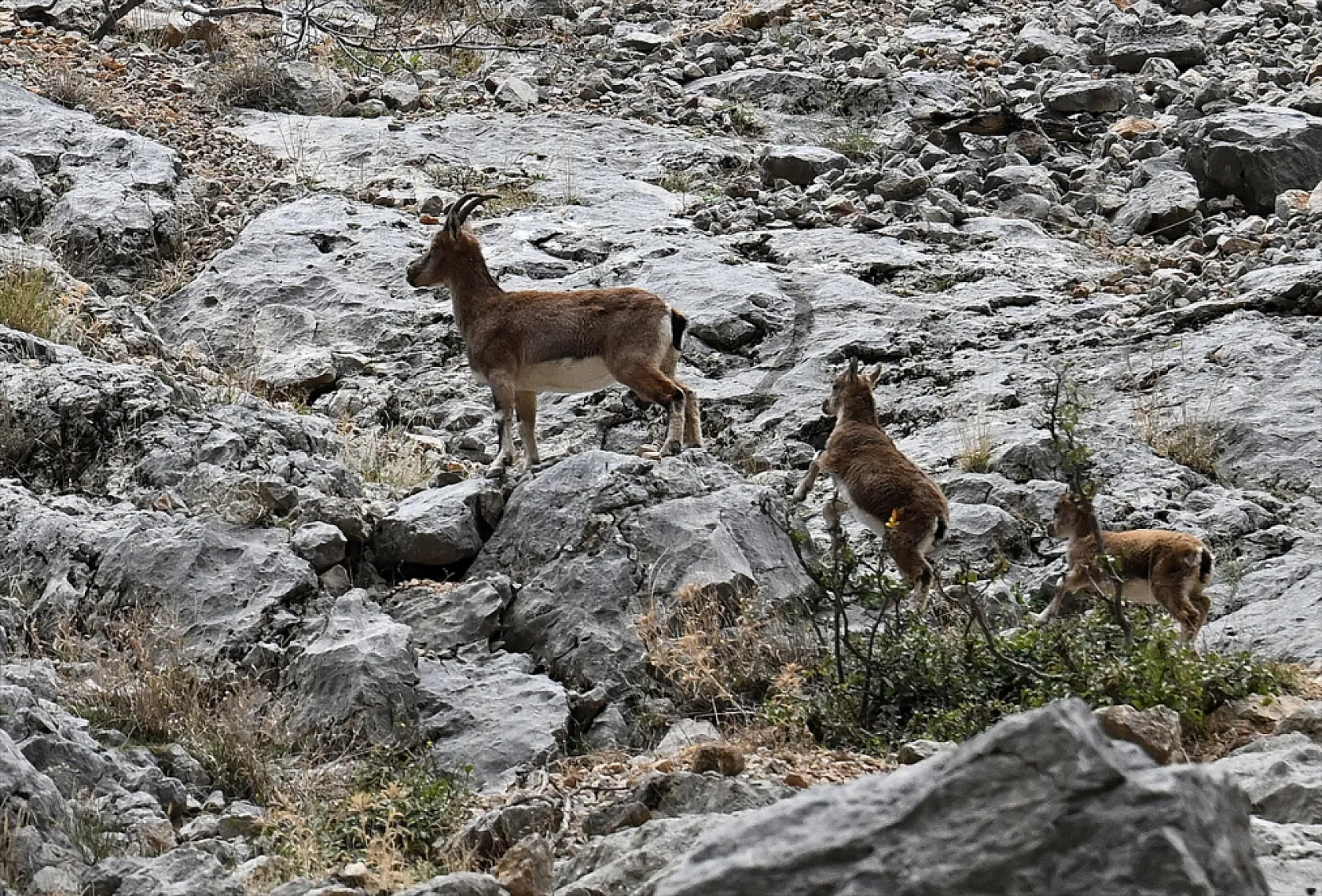 Karanlık Kanyonu ziyaretçilerini büyülüyor