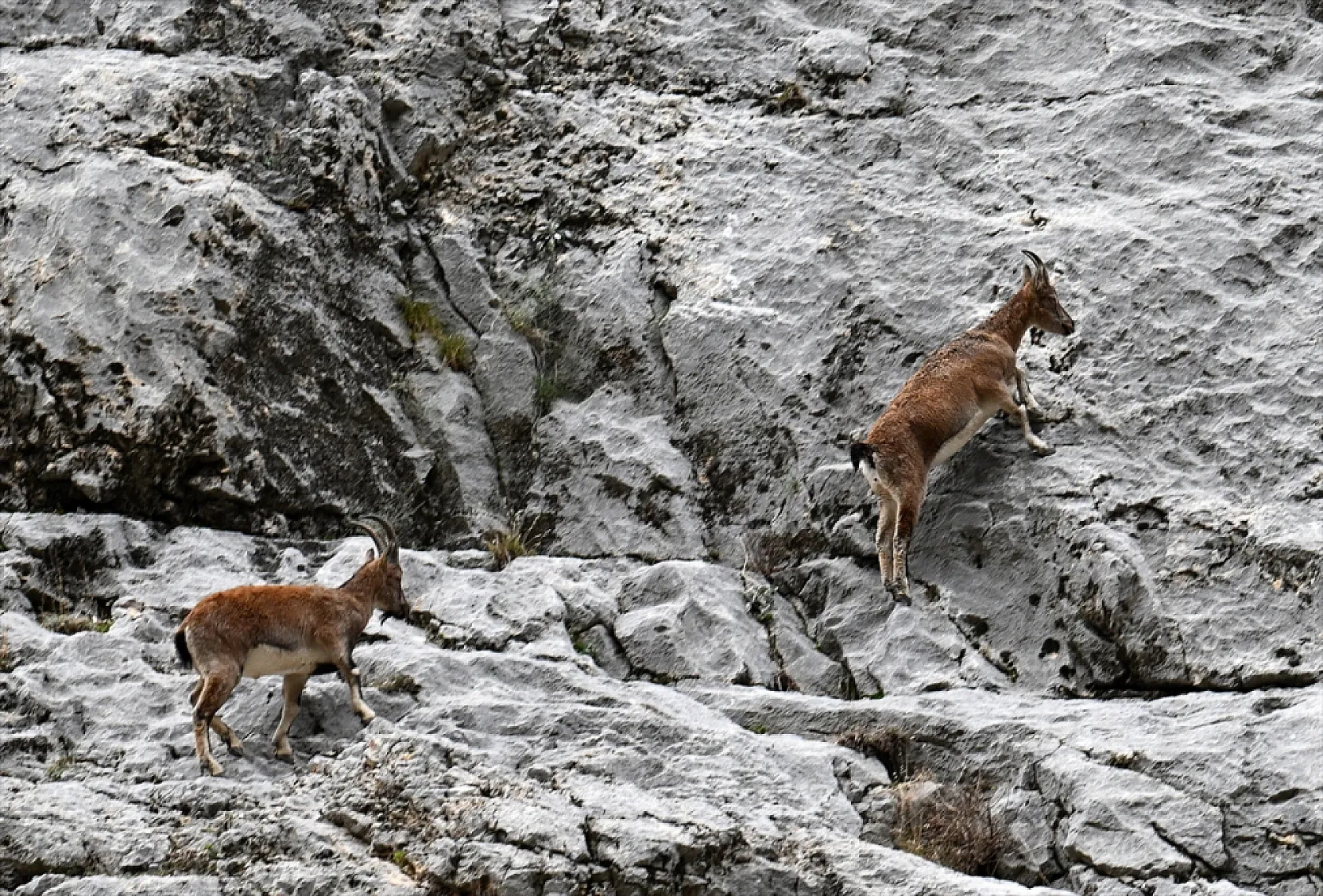 Karanlık Kanyonu ziyaretçilerini büyülüyor