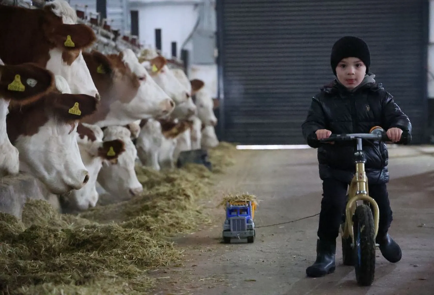 Almanya'dan köyüne döndü, devlet desteğiyle çiftlik kurdu