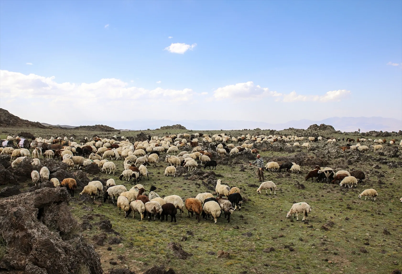 Terörden arındırılan 'Tendürek Dağı...'