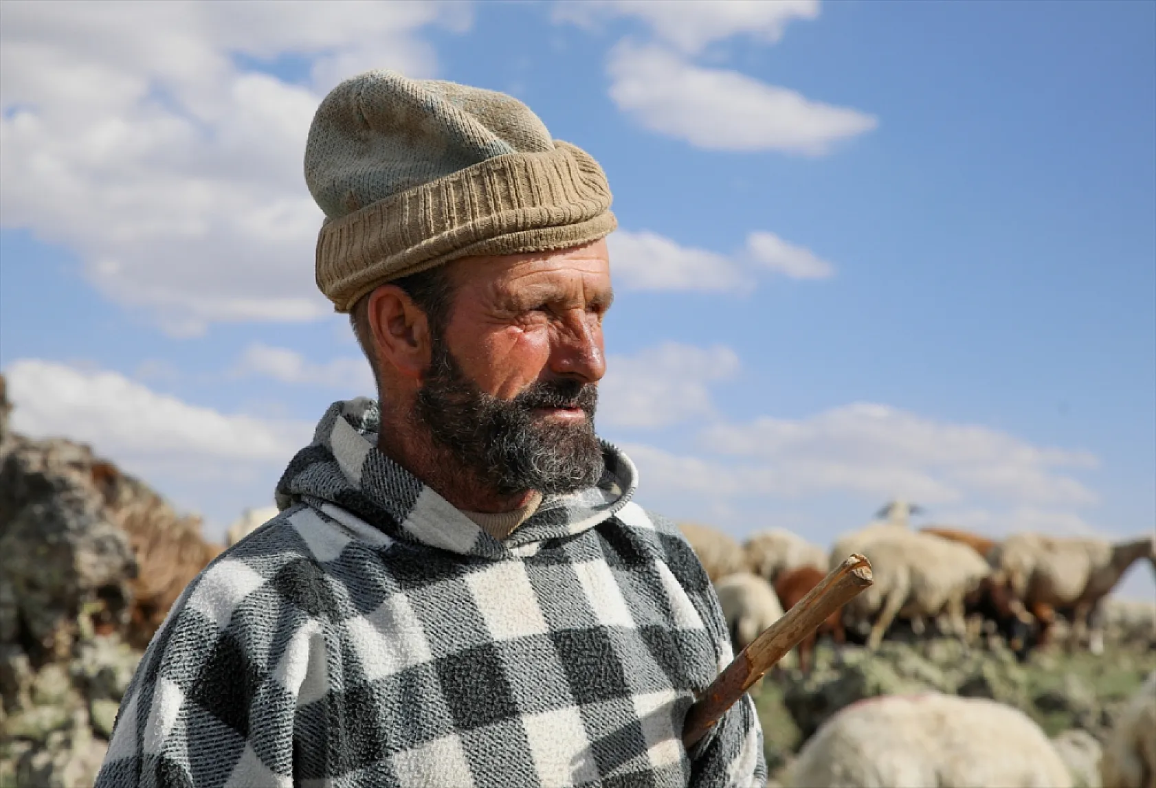 Terörden arındırılan 'Tendürek Dağı...'