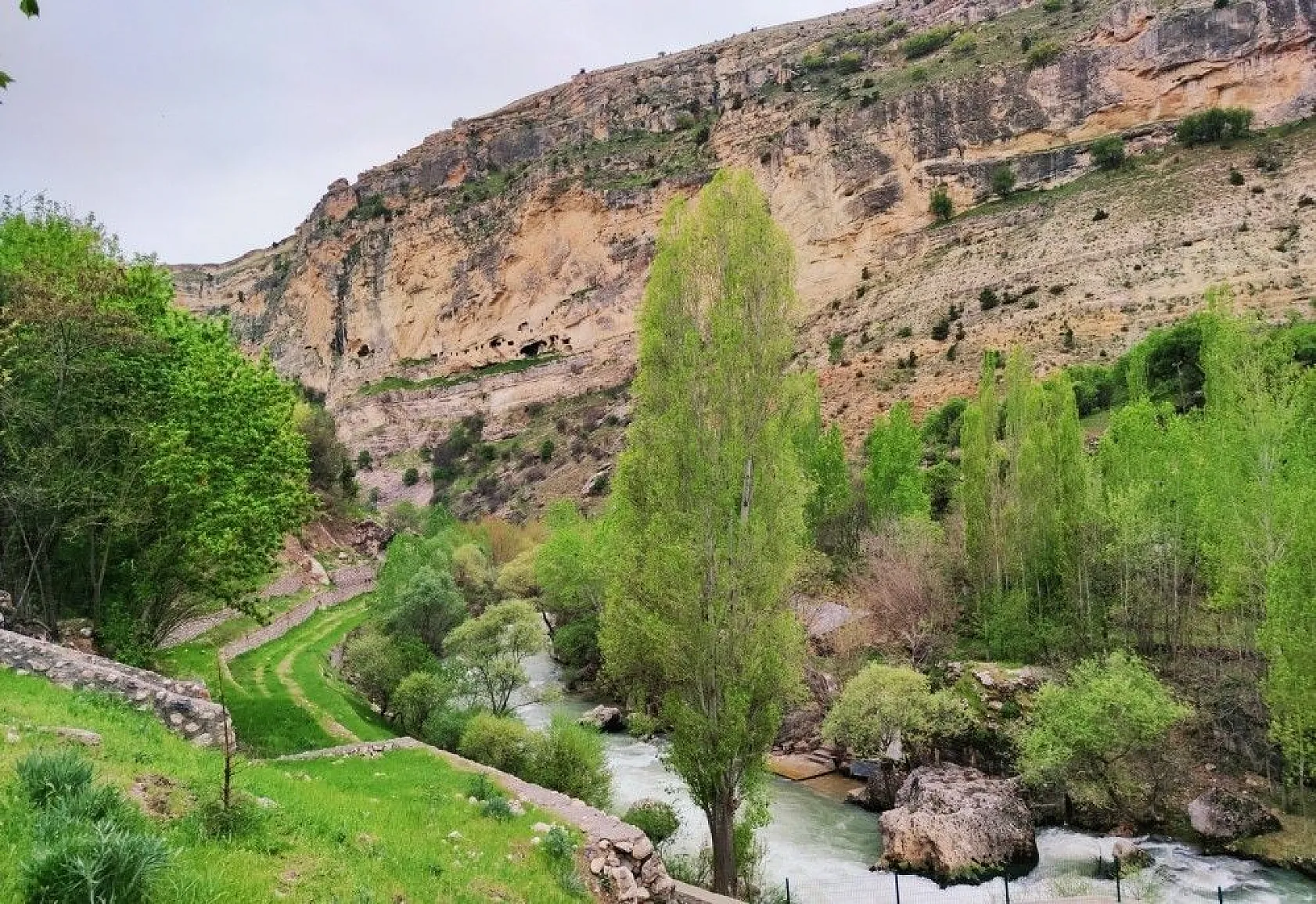 Doğal yaşamı ile dikkat çeken ilçe baharla renklendi