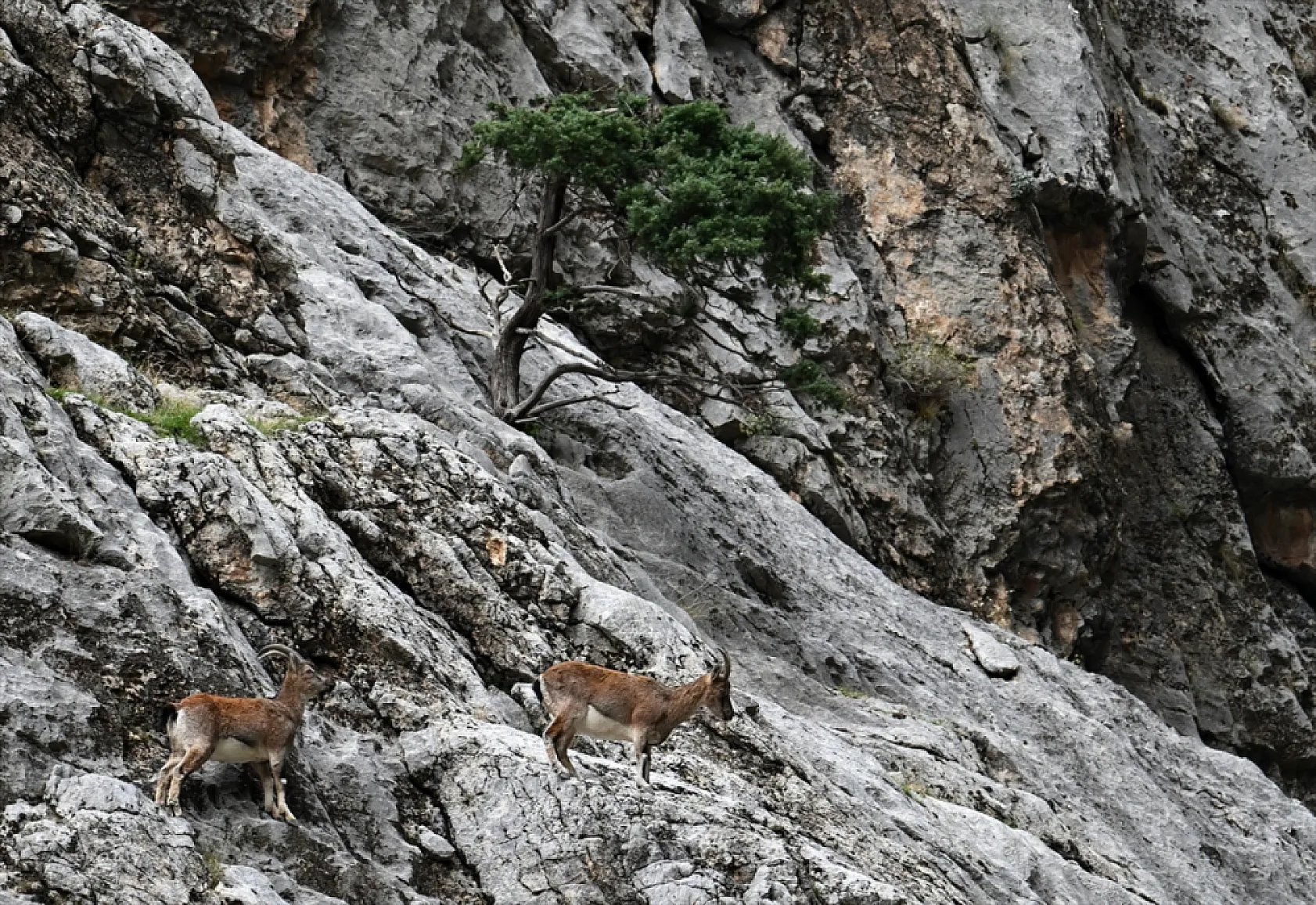 Karanlık Kanyonu ziyaretçilerini büyülüyor
