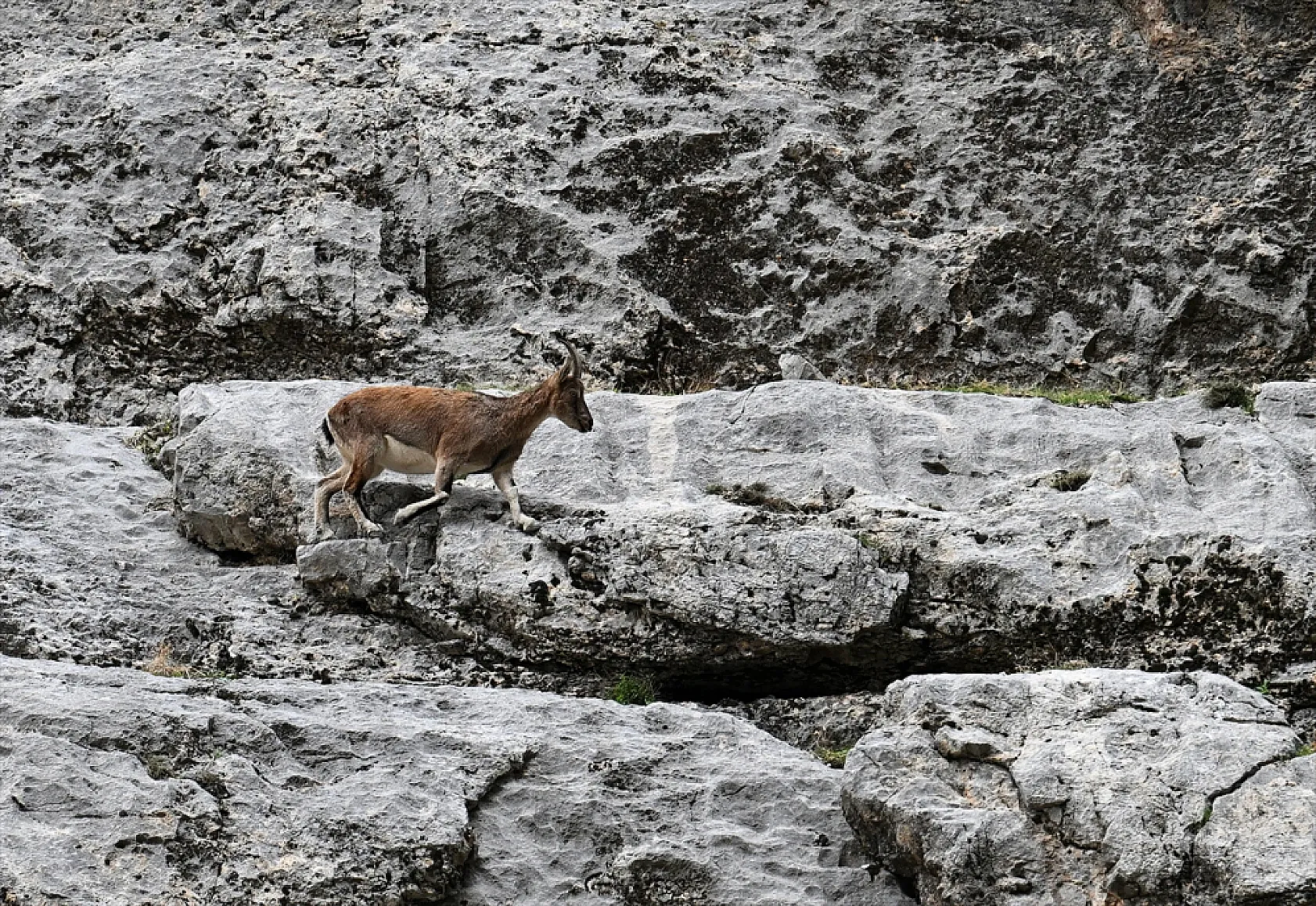 Karanlık Kanyonu ziyaretçilerini büyülüyor