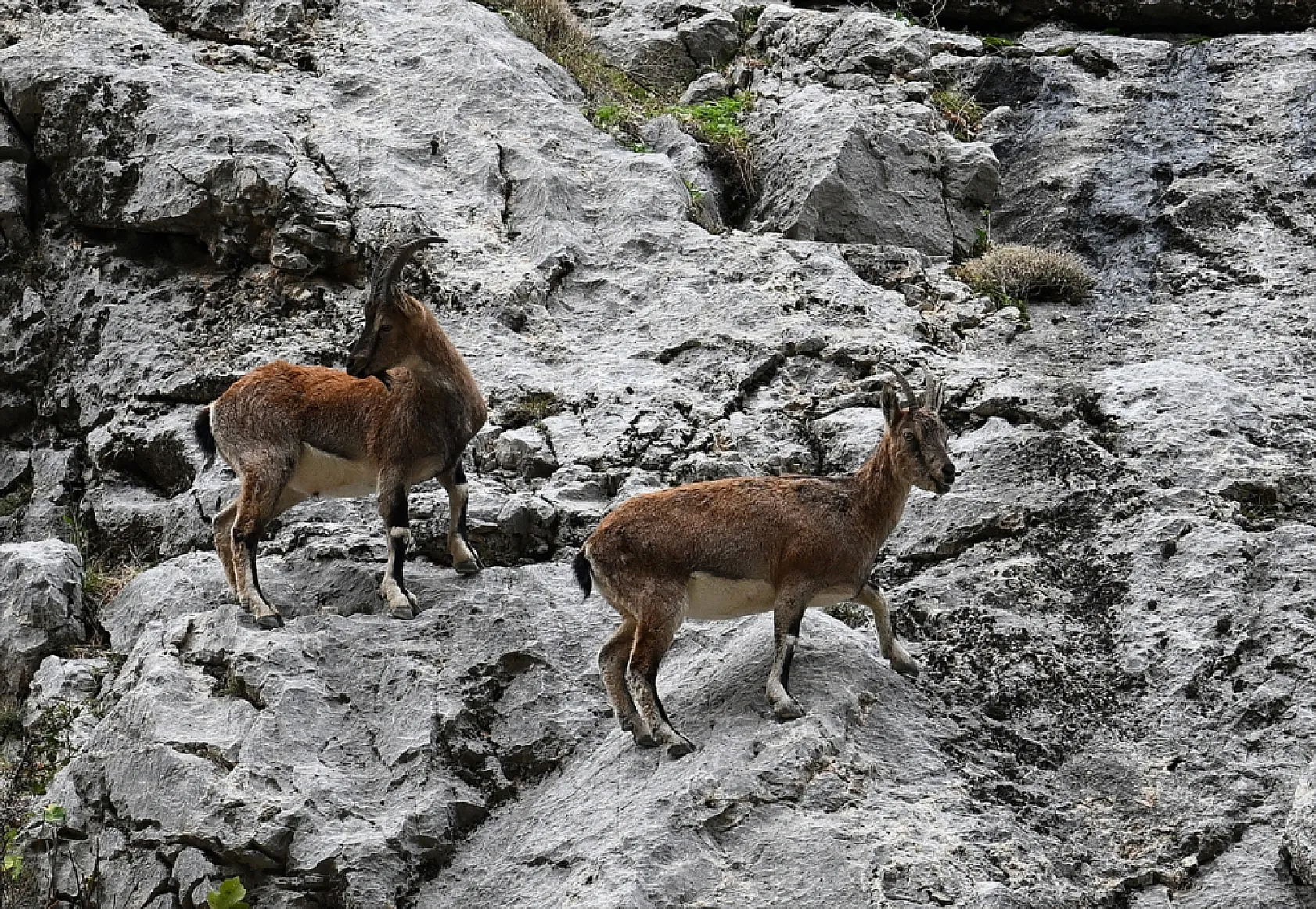 Karanlık Kanyonu ziyaretçilerini büyülüyor