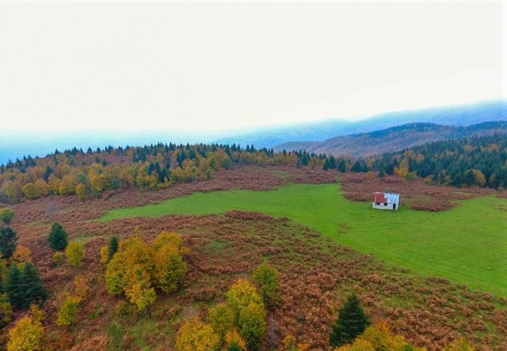 Ordu'da sonbaharda renk cümbüşü
