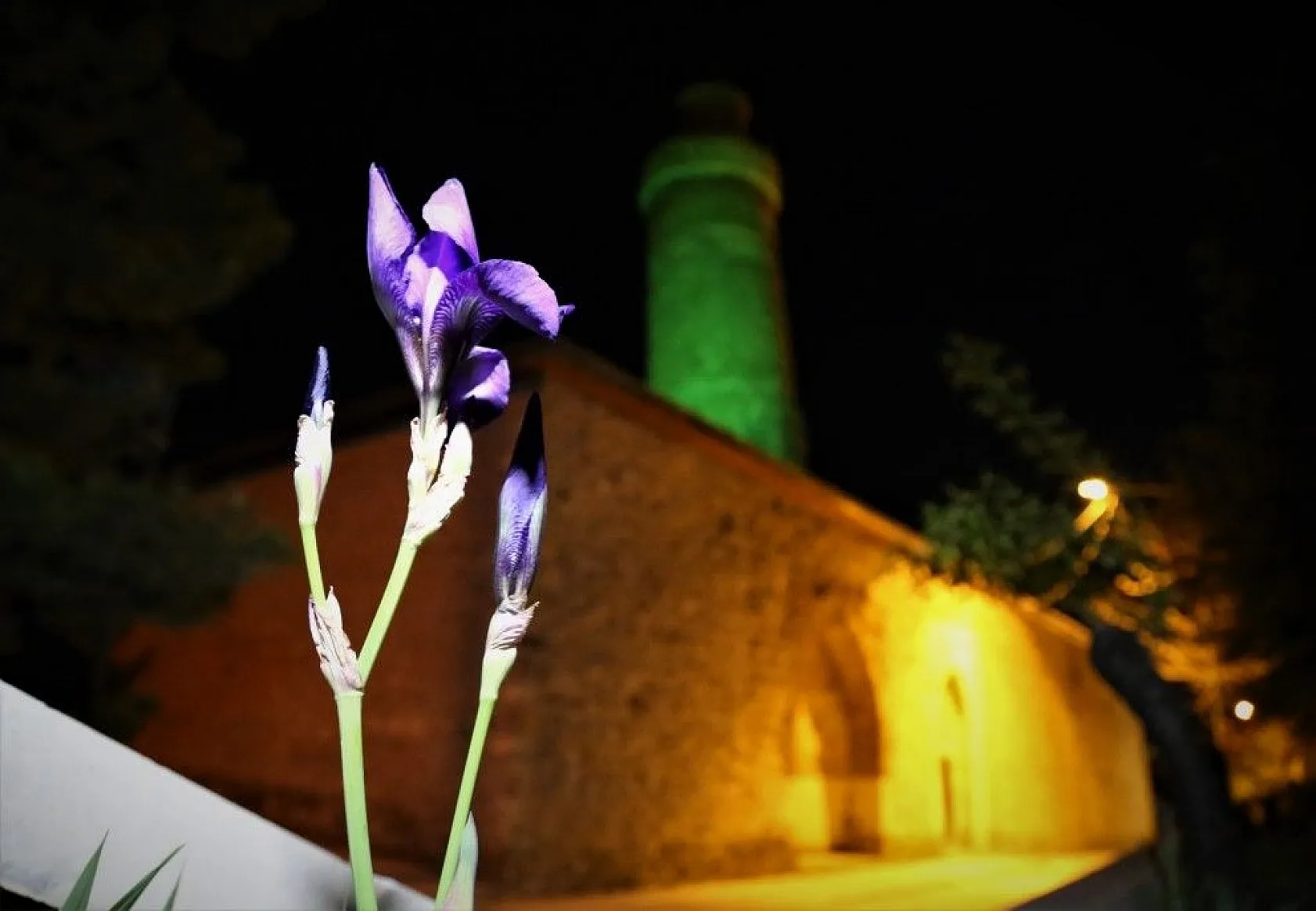 Harput'ta muhteşem gece fotoğrafları